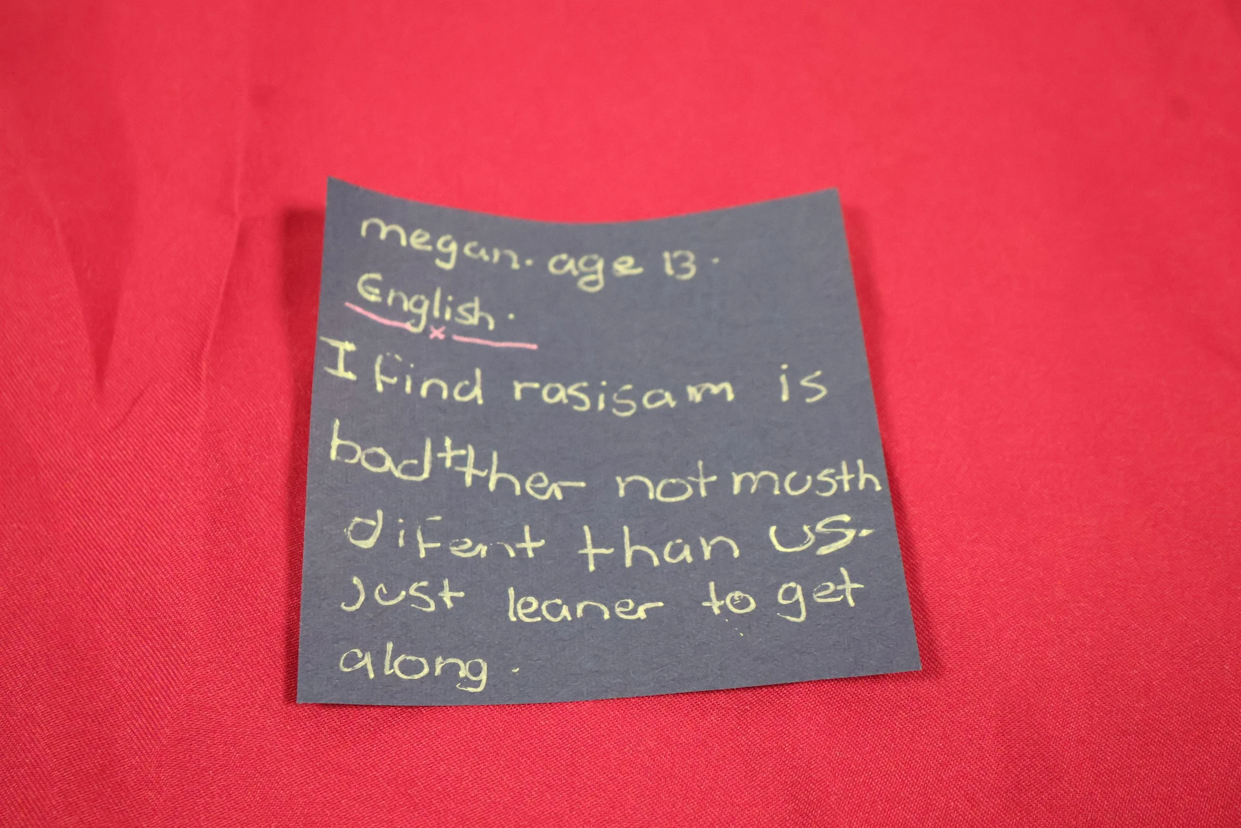 5. Megan age 13.JPG