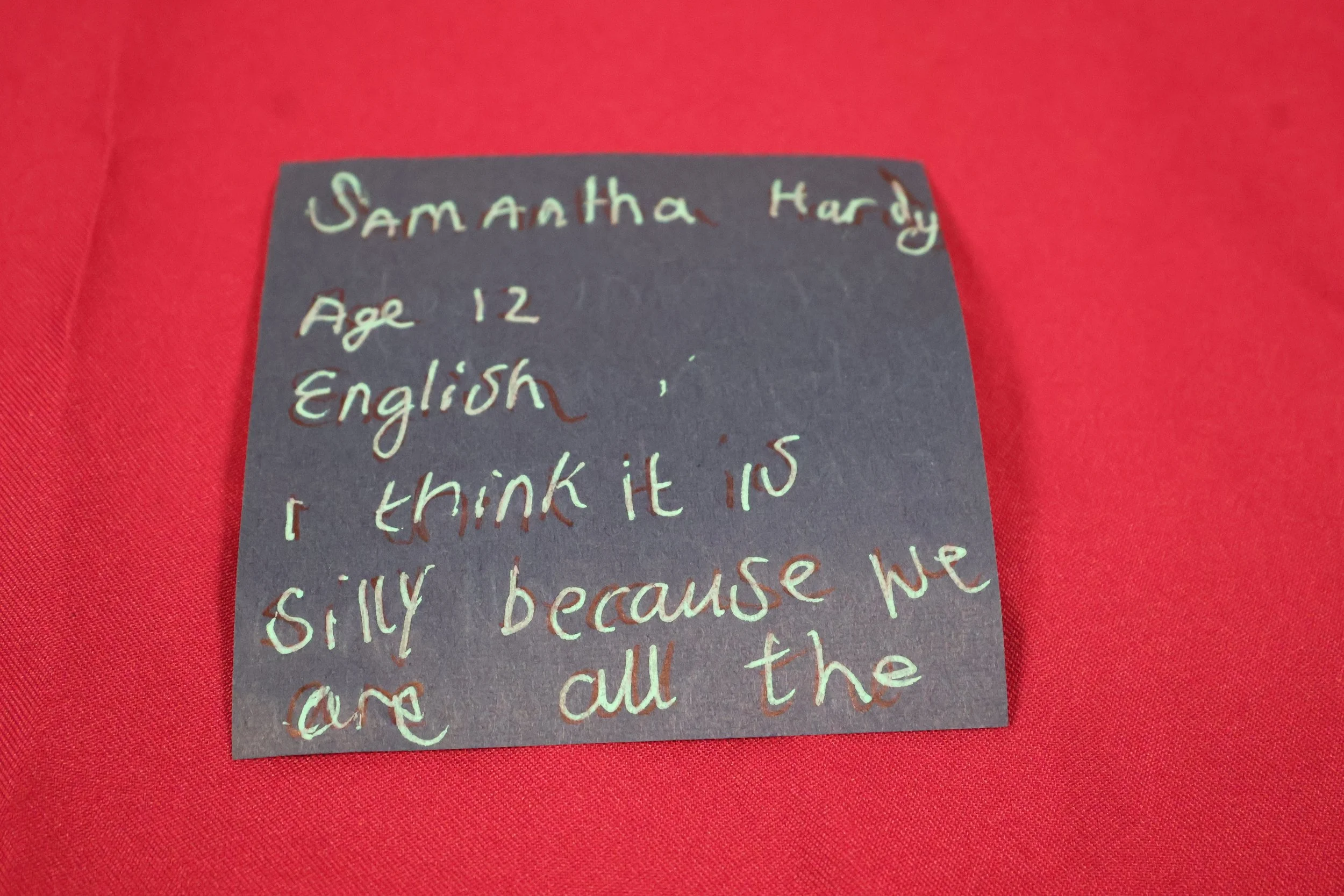 10. Samantha Hardy (front).JPG
