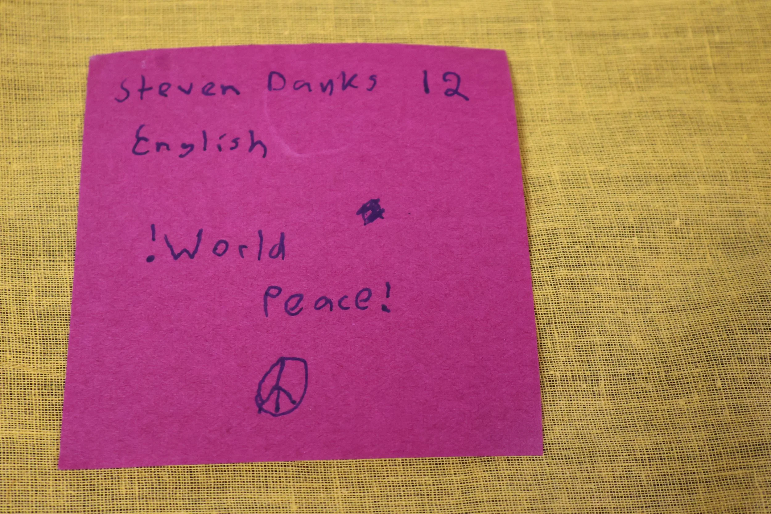 3. Steven Danks (age 12) (1).JPG