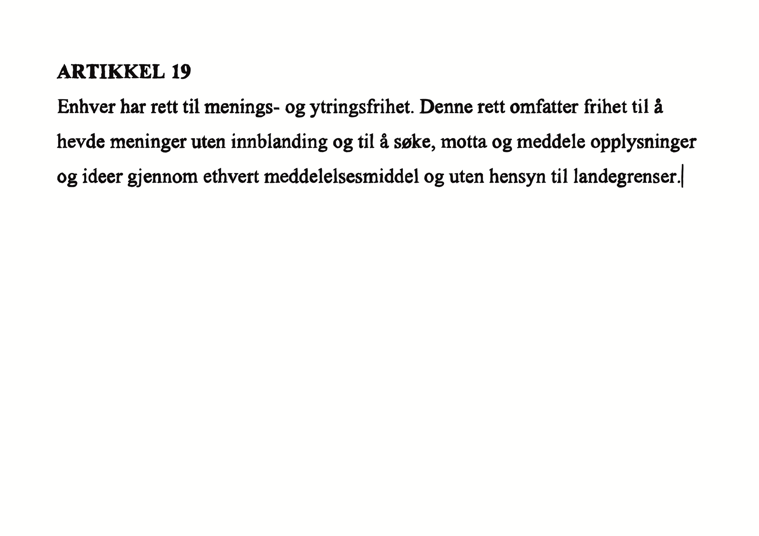AMNESTY artikkel 19