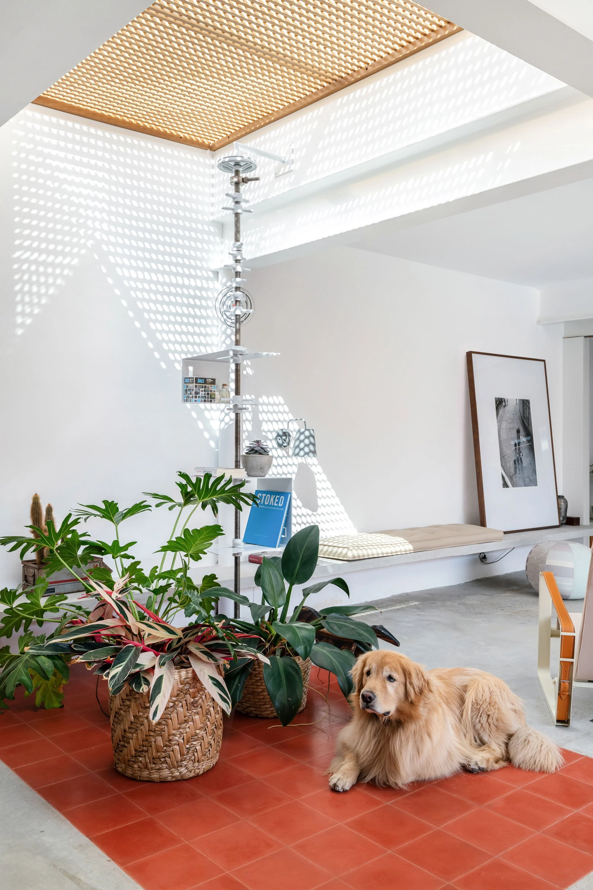 Maçonilio Arquitetura - Casa Arabá - foto Maura Mello (17).jpg
