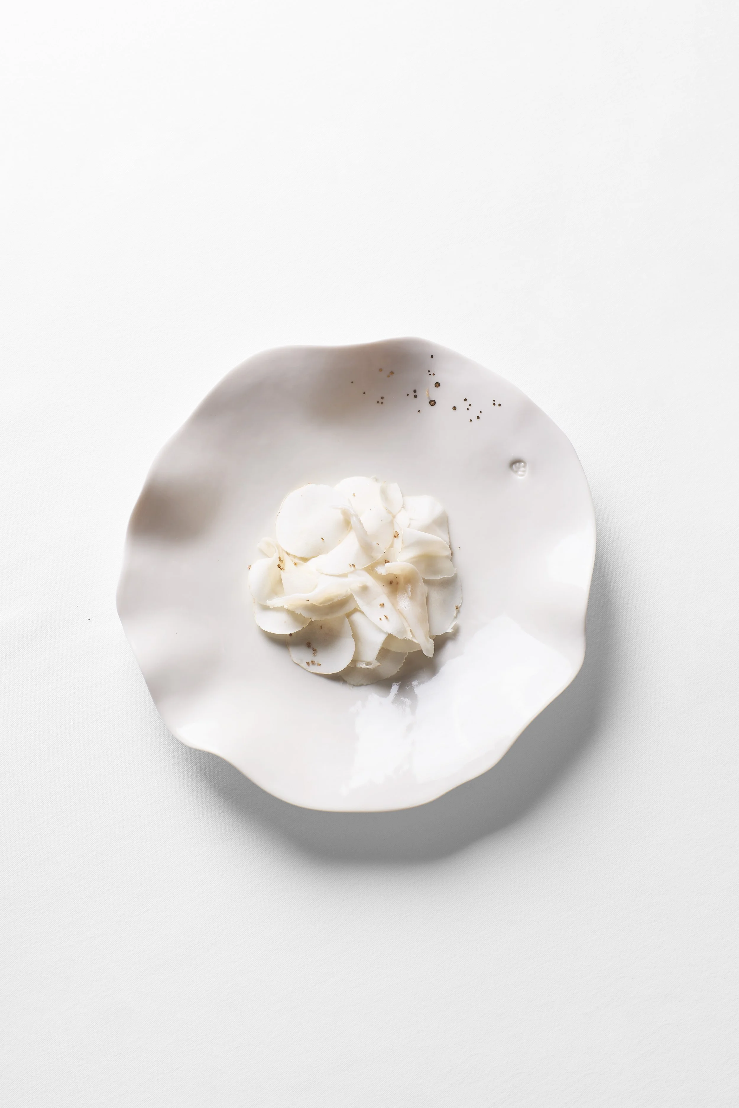 Crème glacée à la vanille dans un bol blanc avec quelques éclats de de coco ou de chocolat râpé sur le dessus, sur fond blanc.