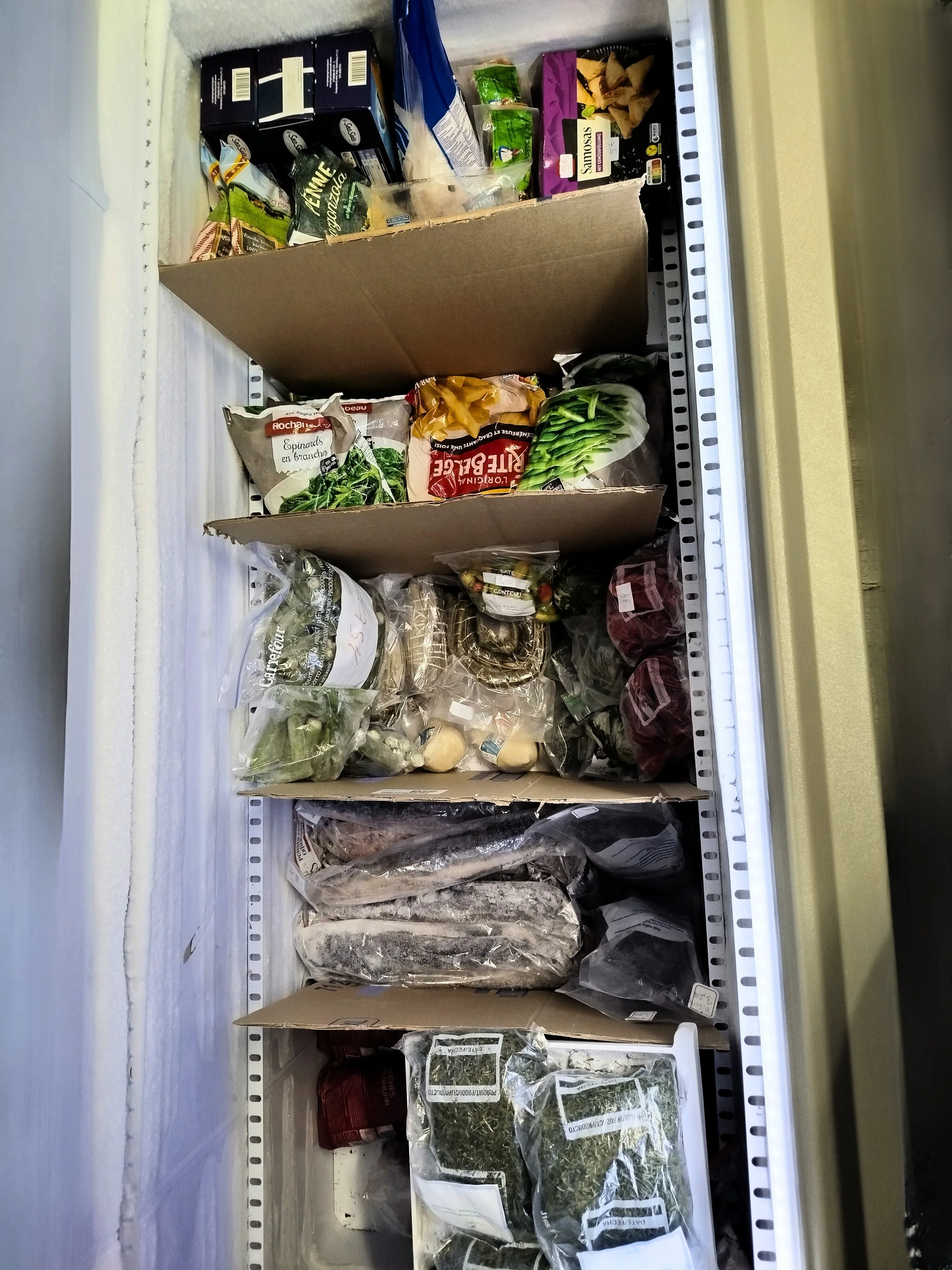 Contenu d'une congélation contenant des légumes, des poissons et autres produits alimentaires emballés.