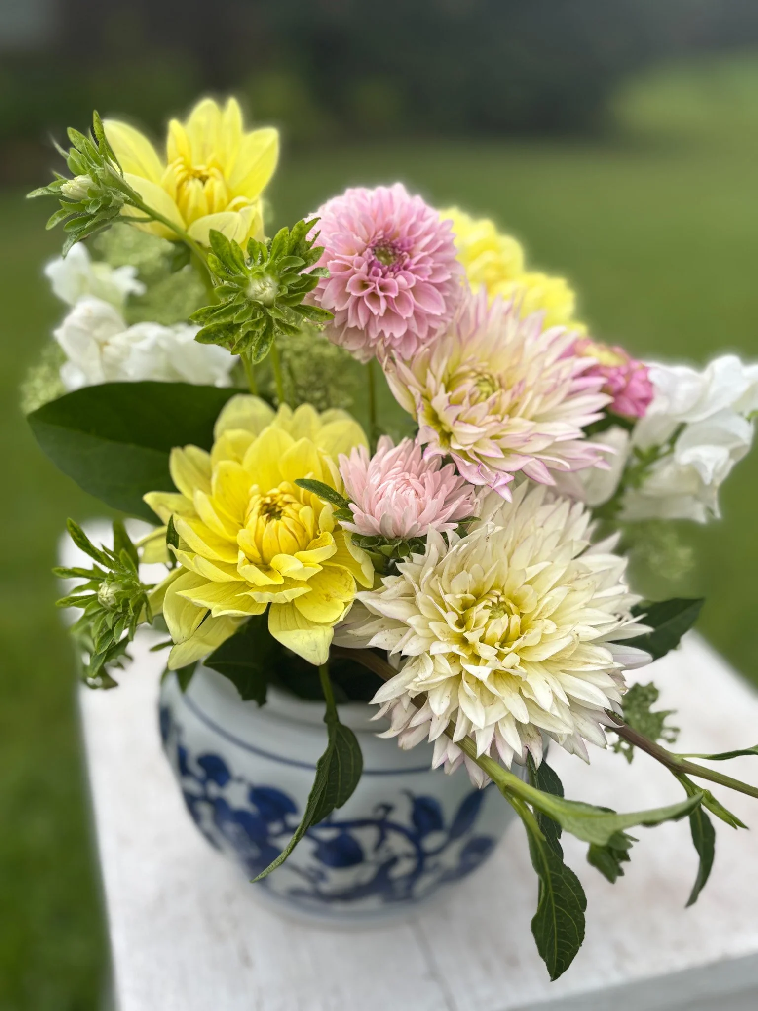 IMG_1583_jpg (1).jpg