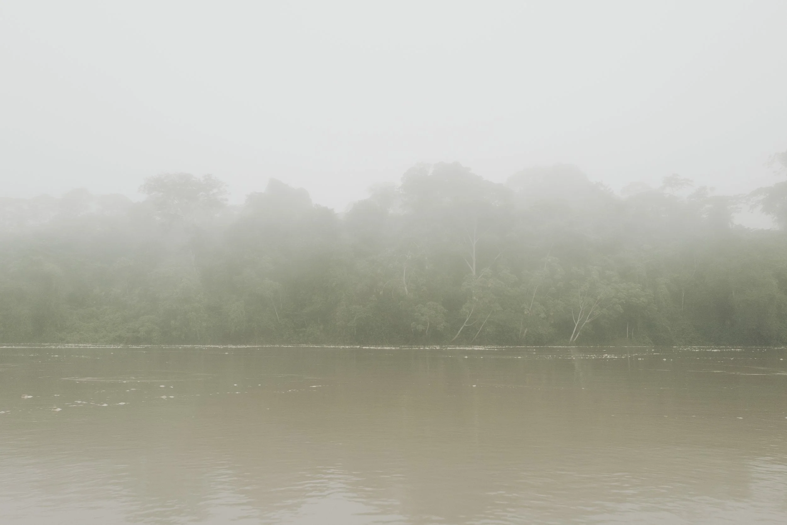 Amazon Rainforest (2), Peru, 2019