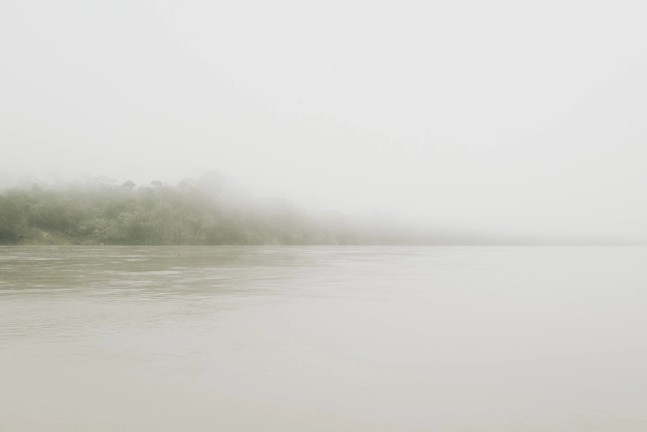 Amazon Rainforest (3), Peru, 2019