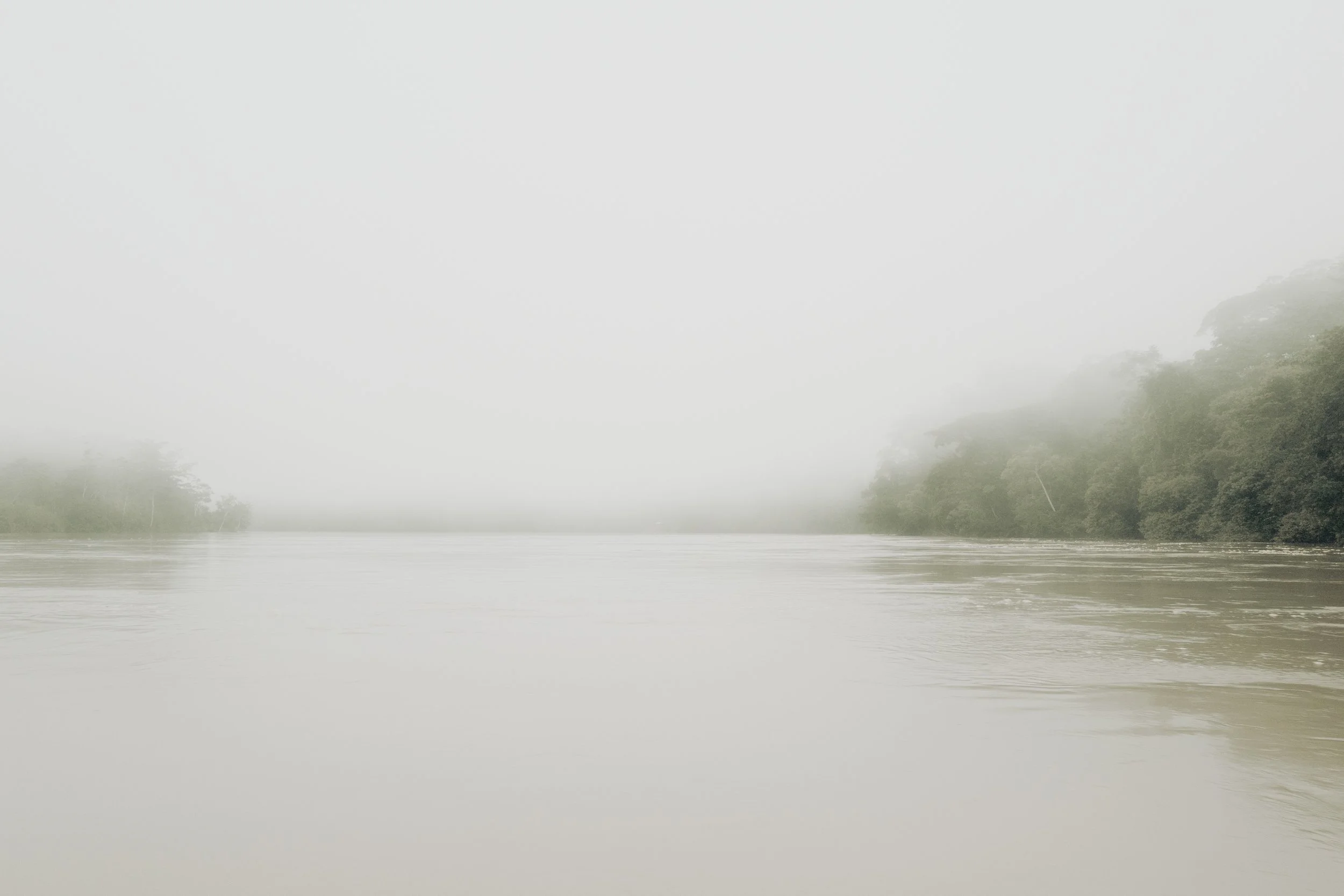 Amazon Rainforest (1), Peru, 2019