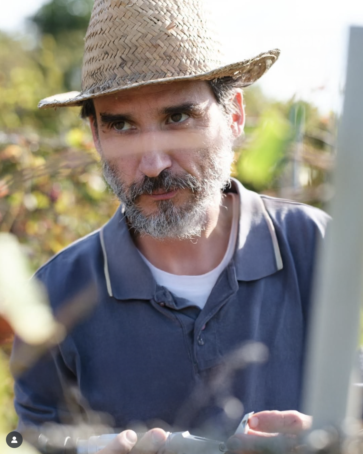 Nuove Rotte – Agricoltura indigena e organismo agricolo con Stefano Vegetabile