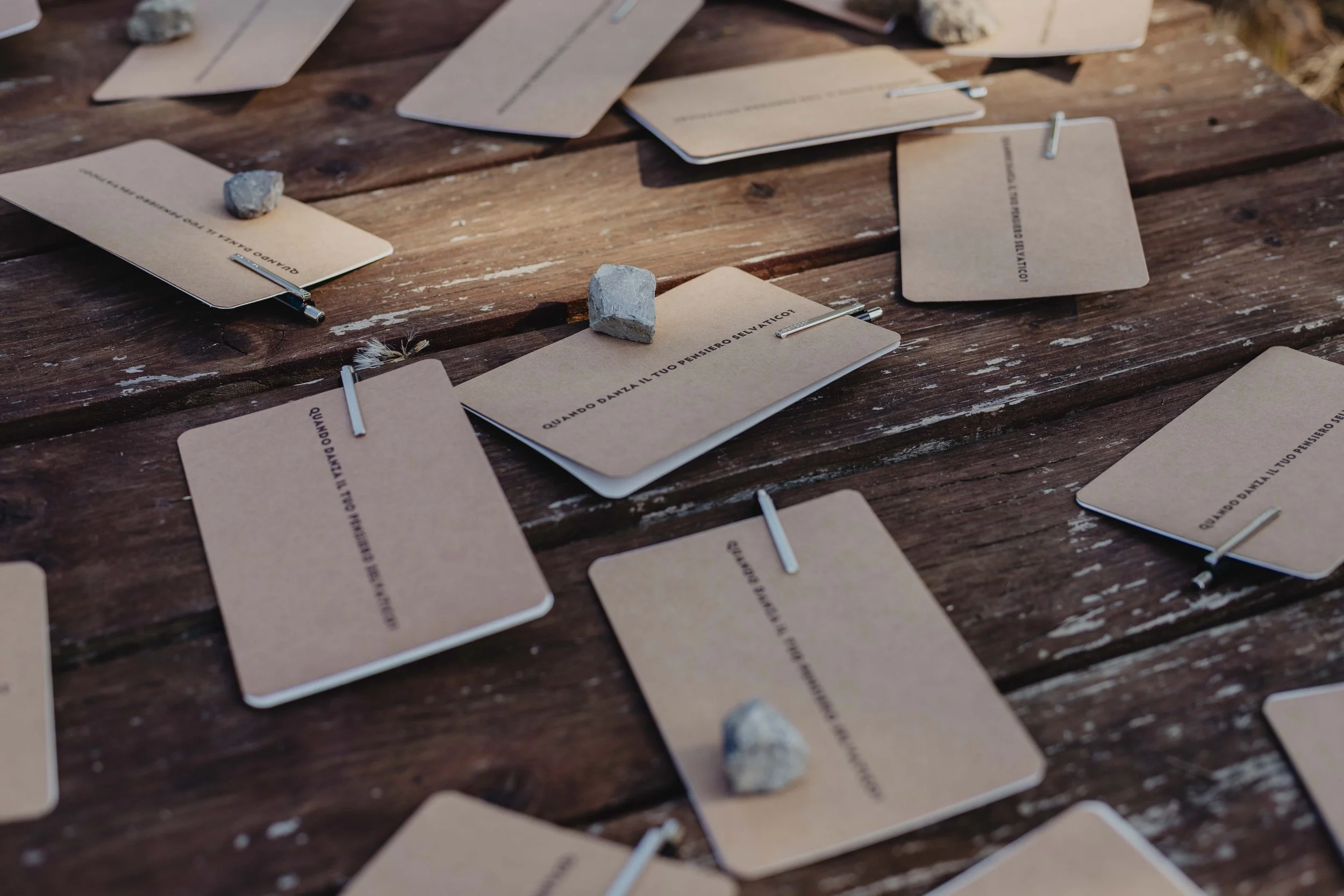 Cartoncini con testi realizzati durante il laboratorio “Pensare come il suolo” a ECOFestival