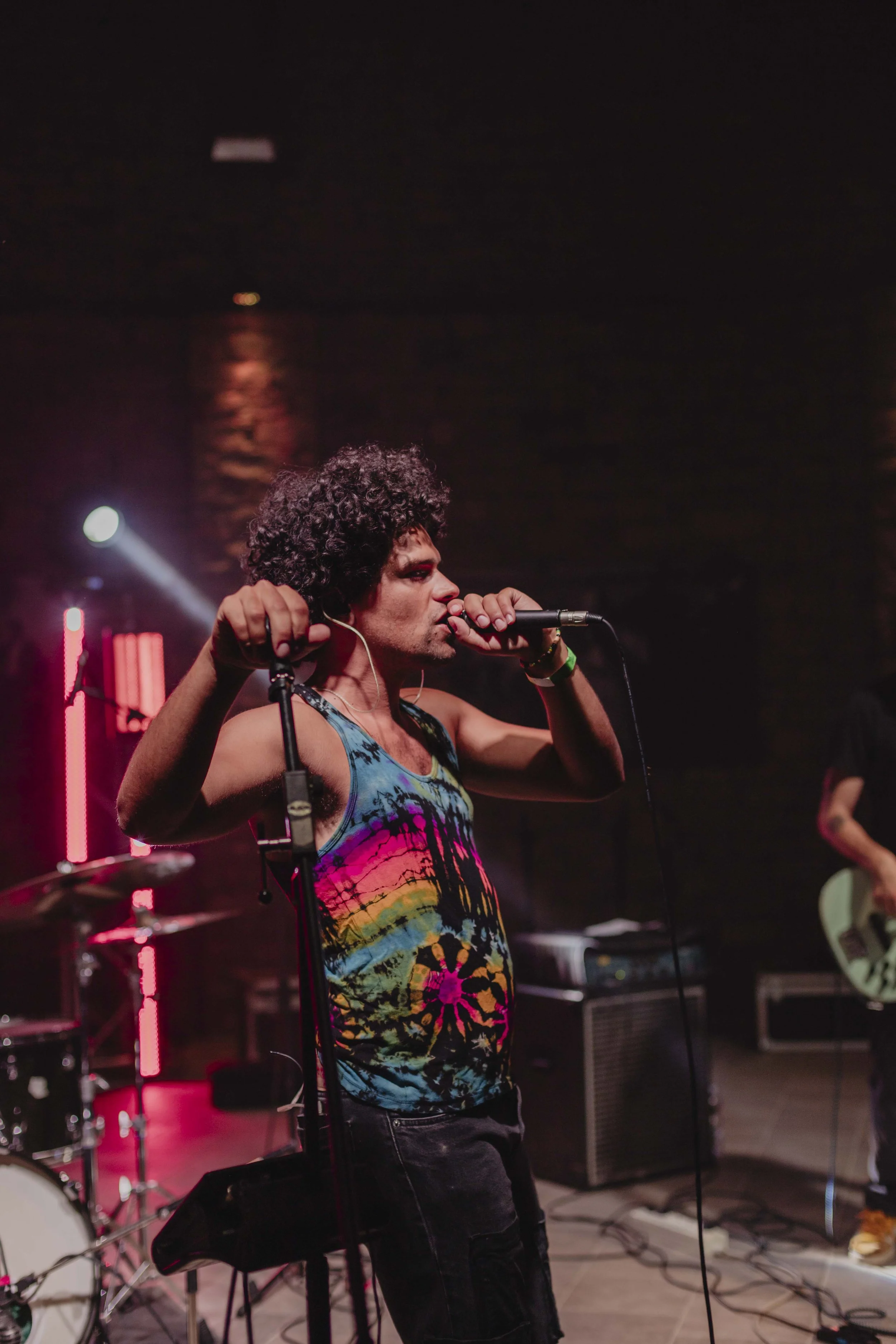 Voce e frontman dei Westfalia durante il live a ECOFestival in Piemonte