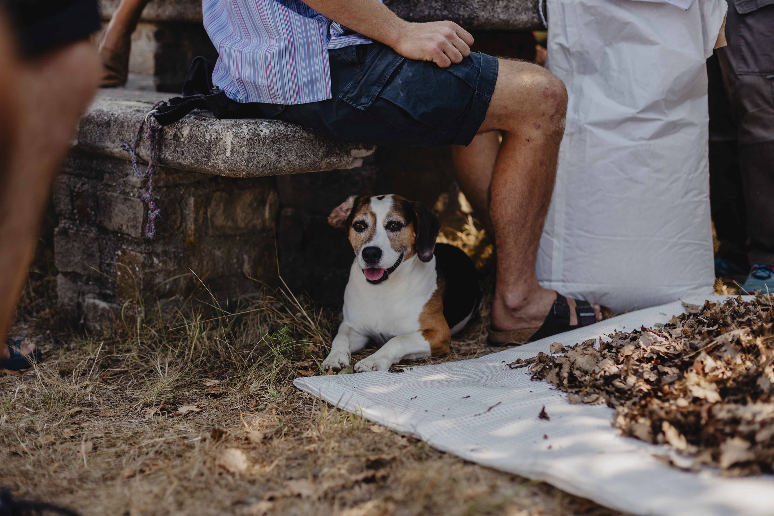 Momento del workshop di biofertilità in orto durante ECOFestival in Alta Langa