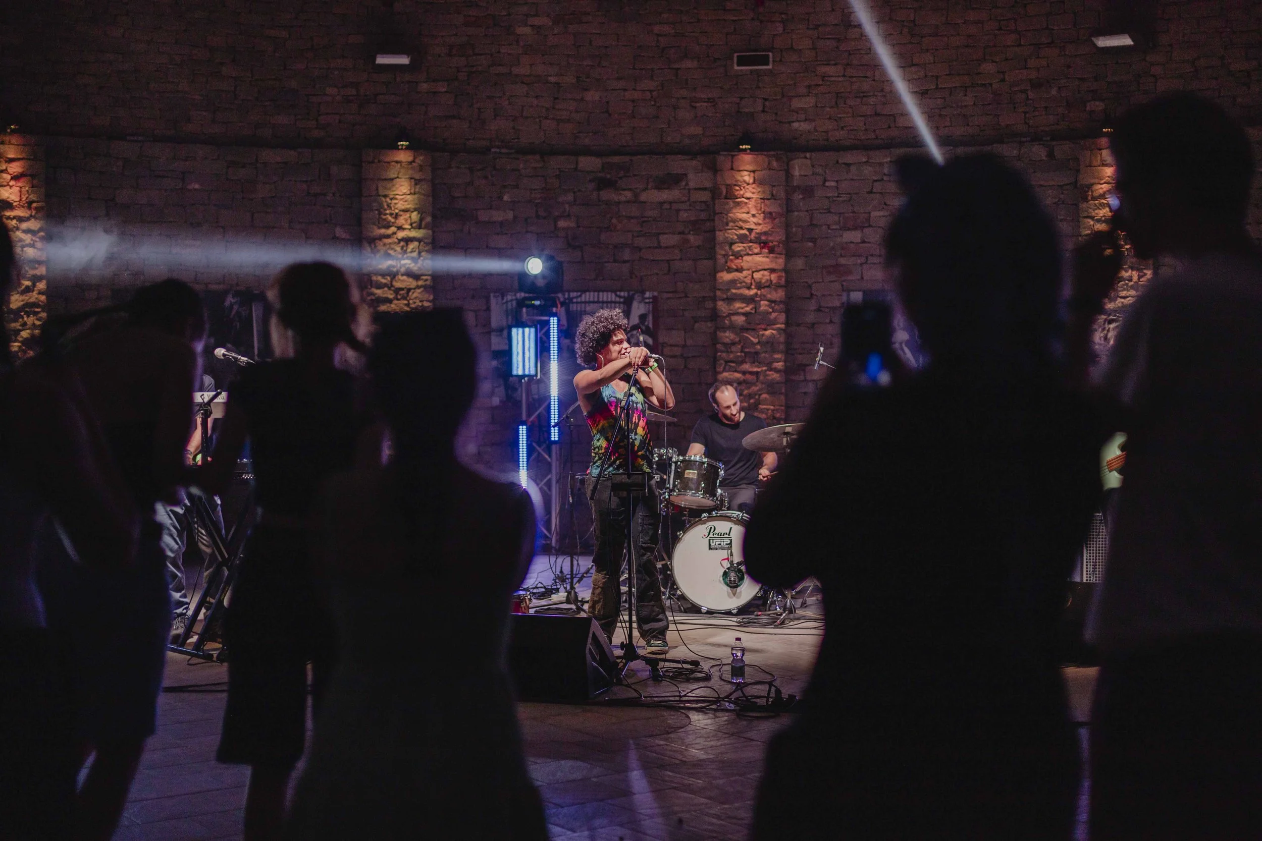 Pubblico durante il concerto dei Westfalia a ECOFestival, evento estate in Alta Langa
