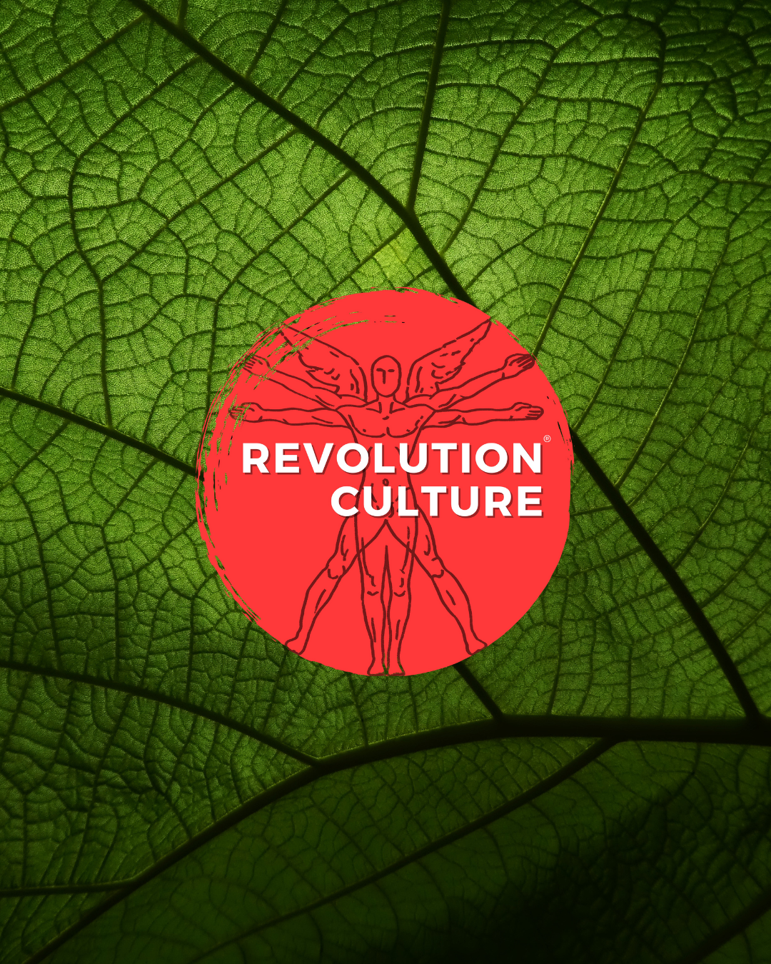 Revolution Culture