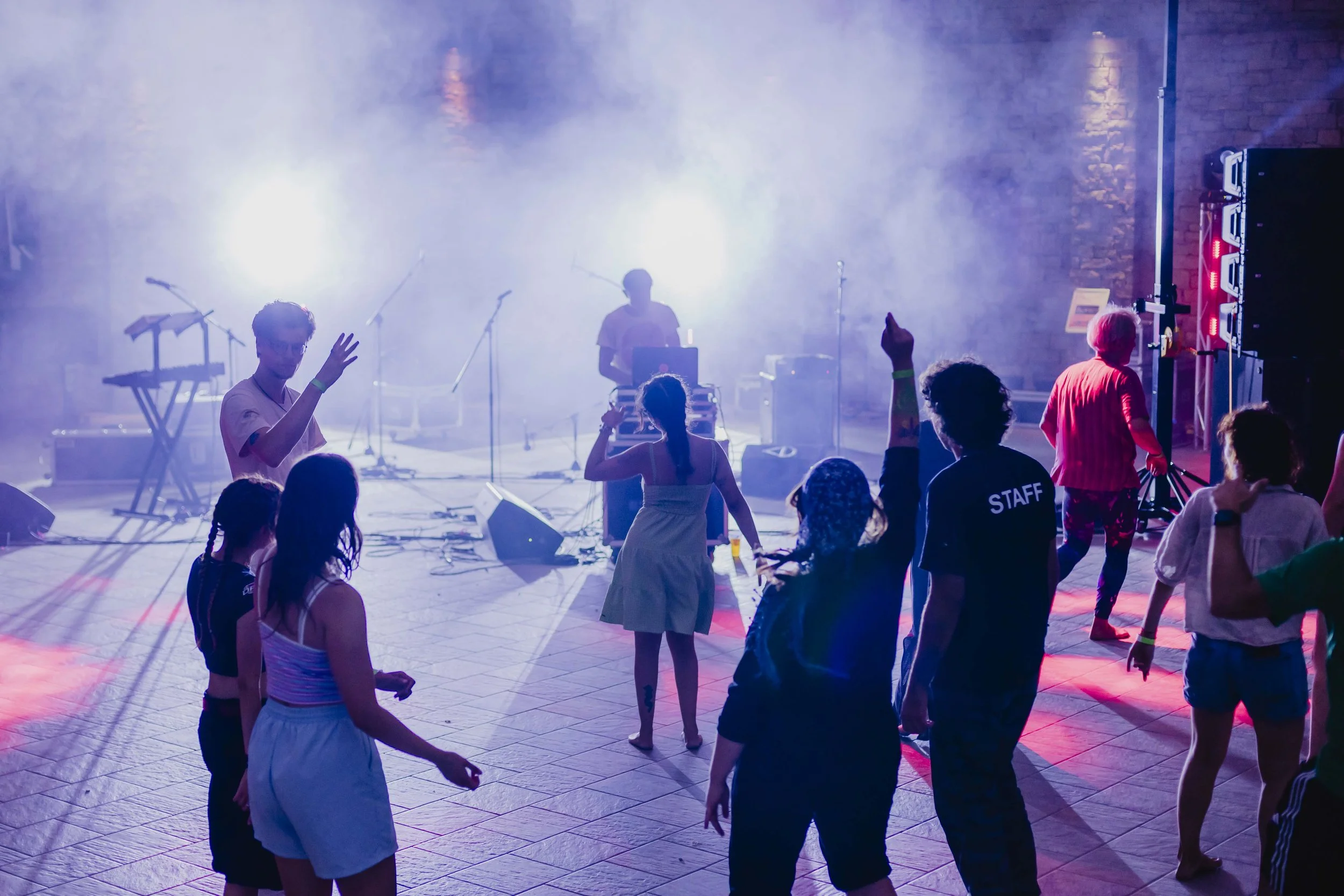 Pubblico balla durante il DJ set di Revolution Culture a ECOFestival in Alta Langa