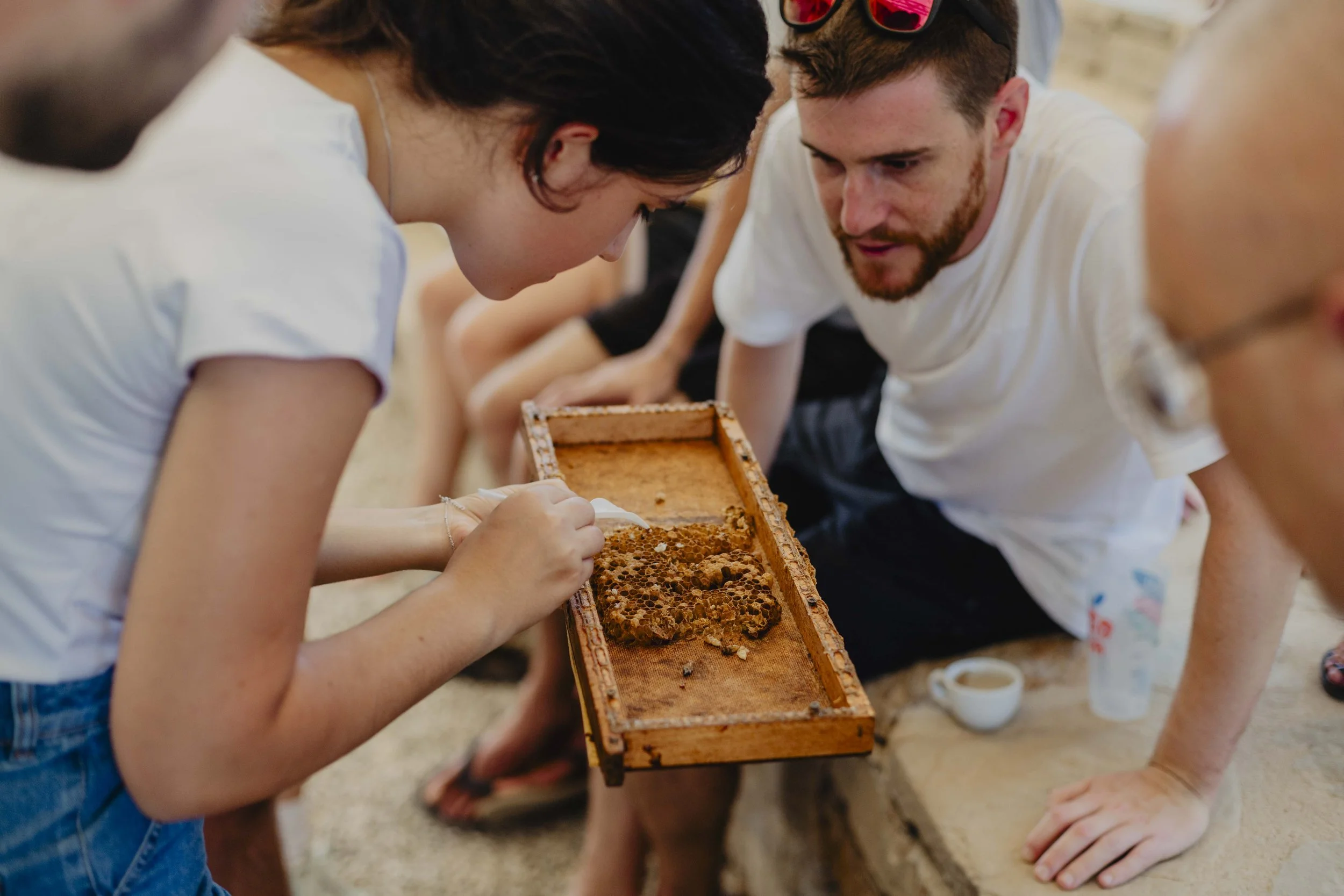 Partecipanti osservano un’arnia didattica durante ECOFestival in Alta Langa