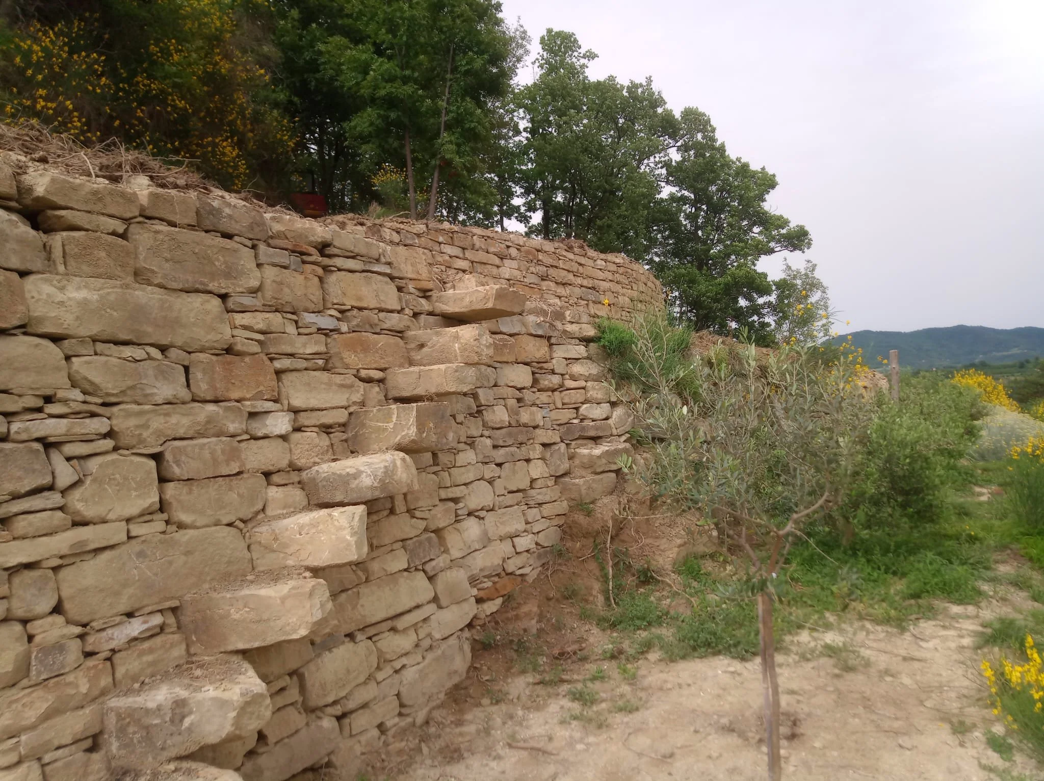 Workshop - Costruire a secco: la pietra nelle Langhe con Elia Zanellato
