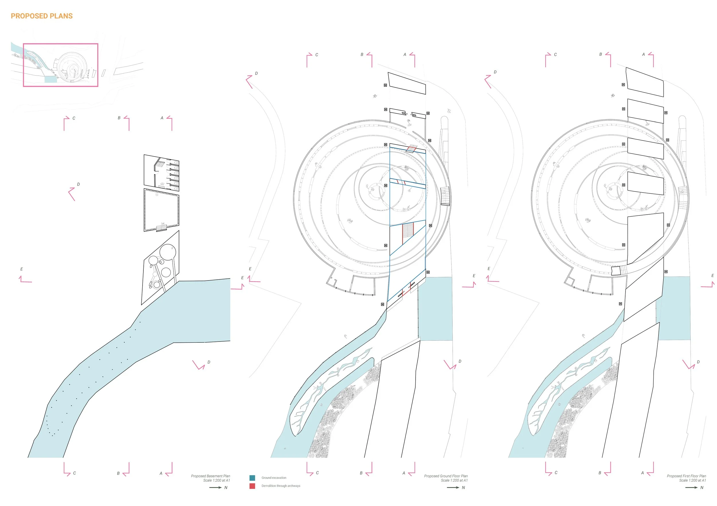 DAY, Daisy.Assignment 6.jpg