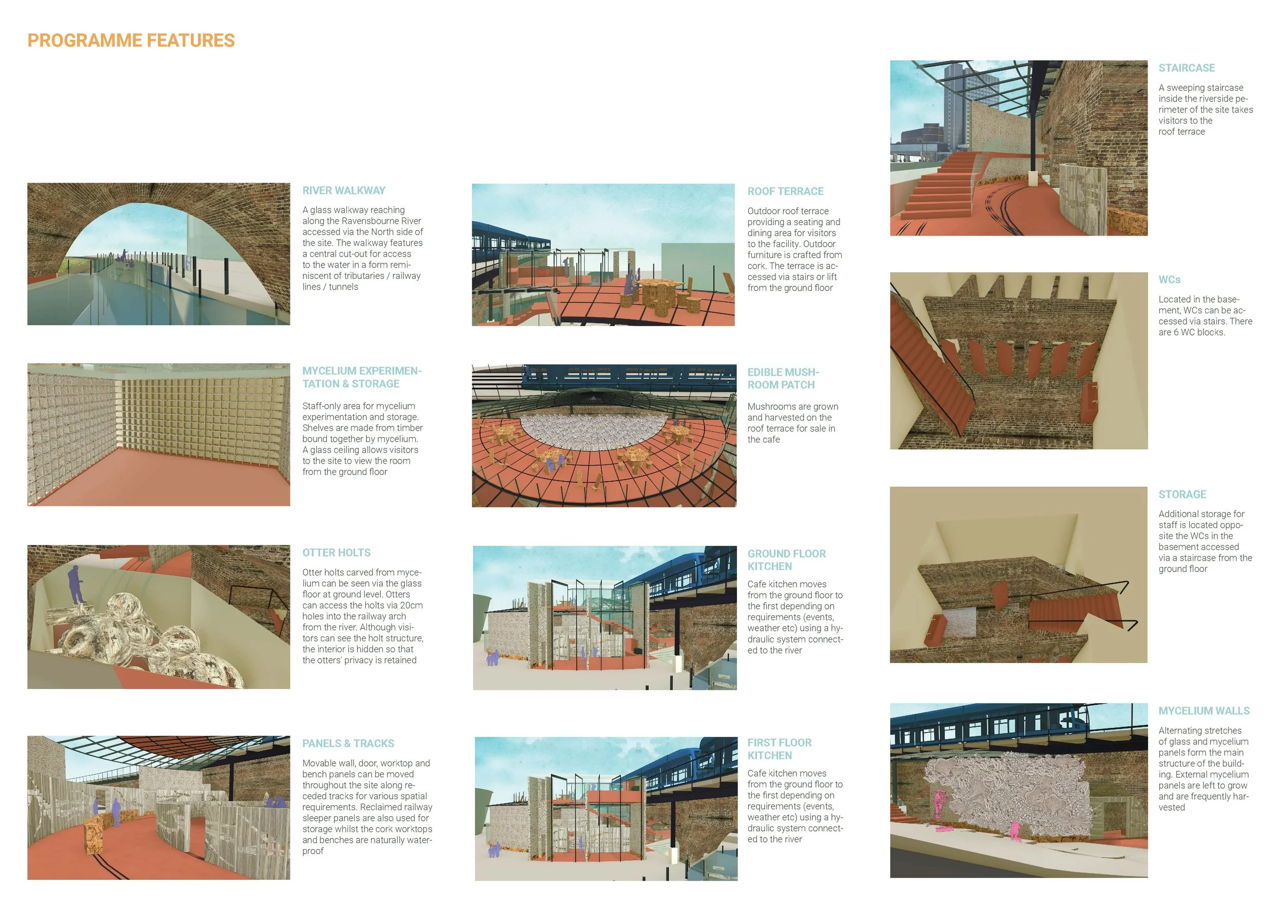 DAY, Daisy.Assignment 11.jpg