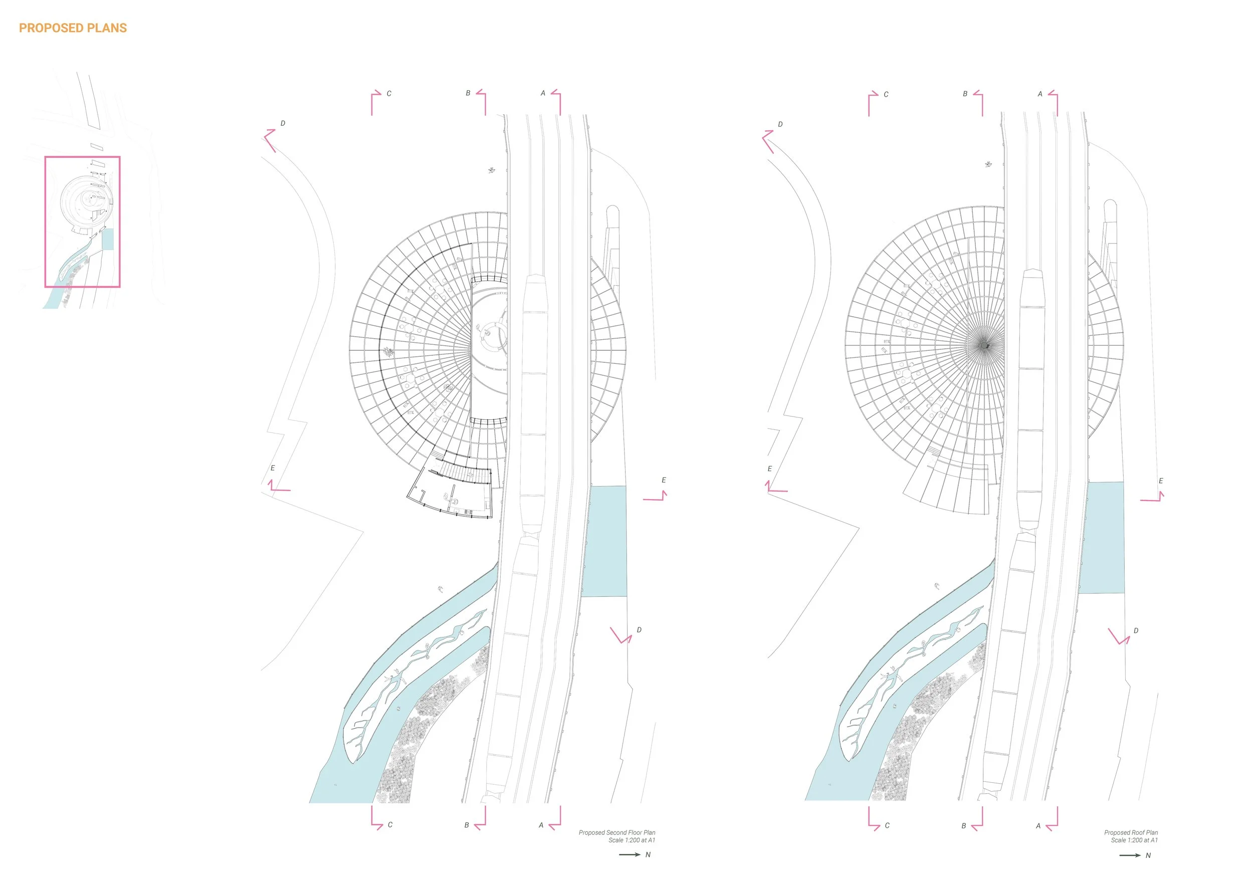 DAY, Daisy.Assignment 7.jpg