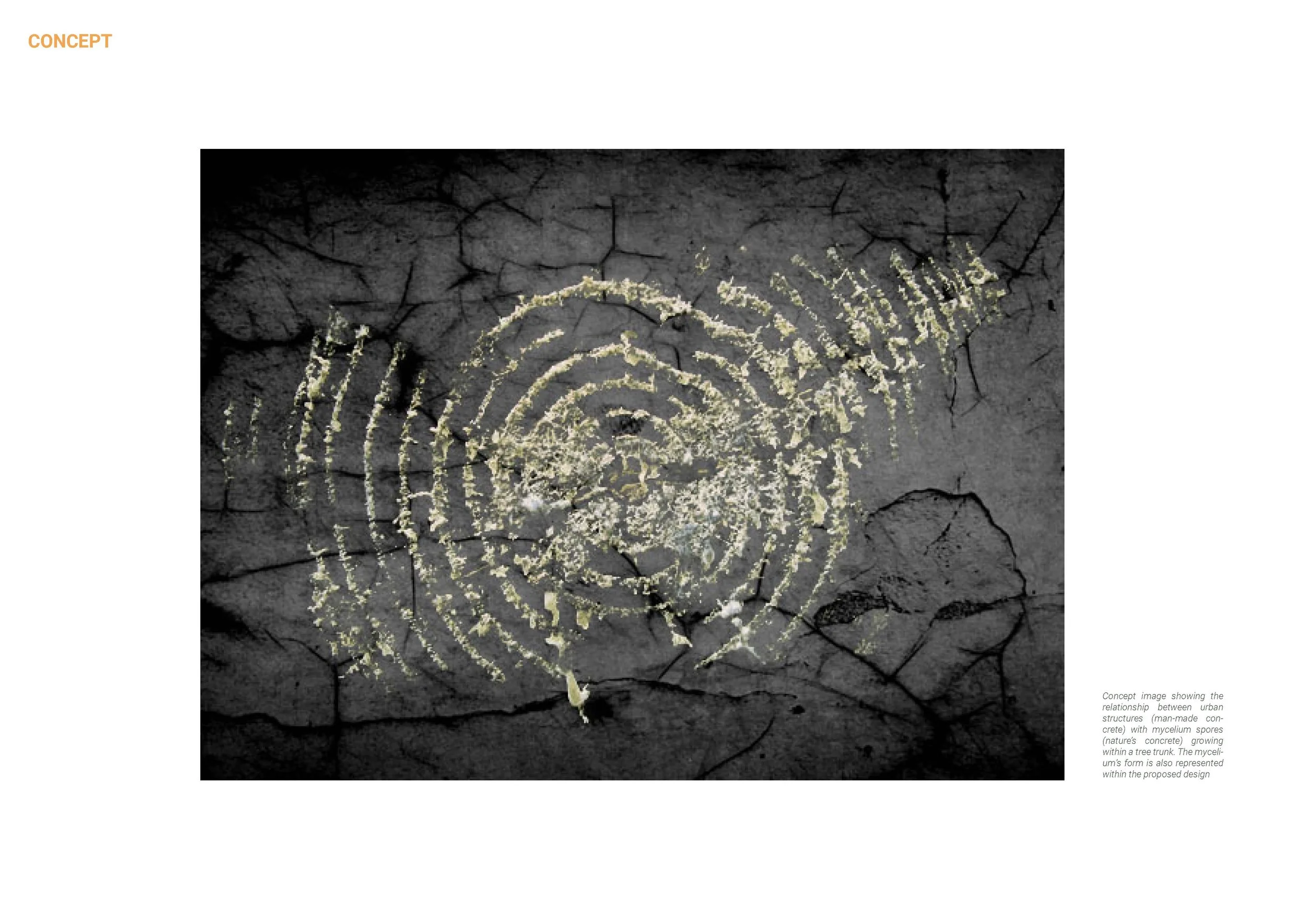 DAY, Daisy.Assignment 4.jpg