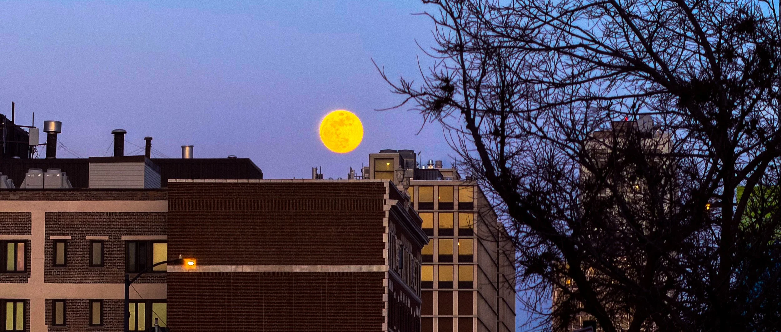 Moon