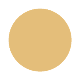 A plain, solid beige circle against a black background.