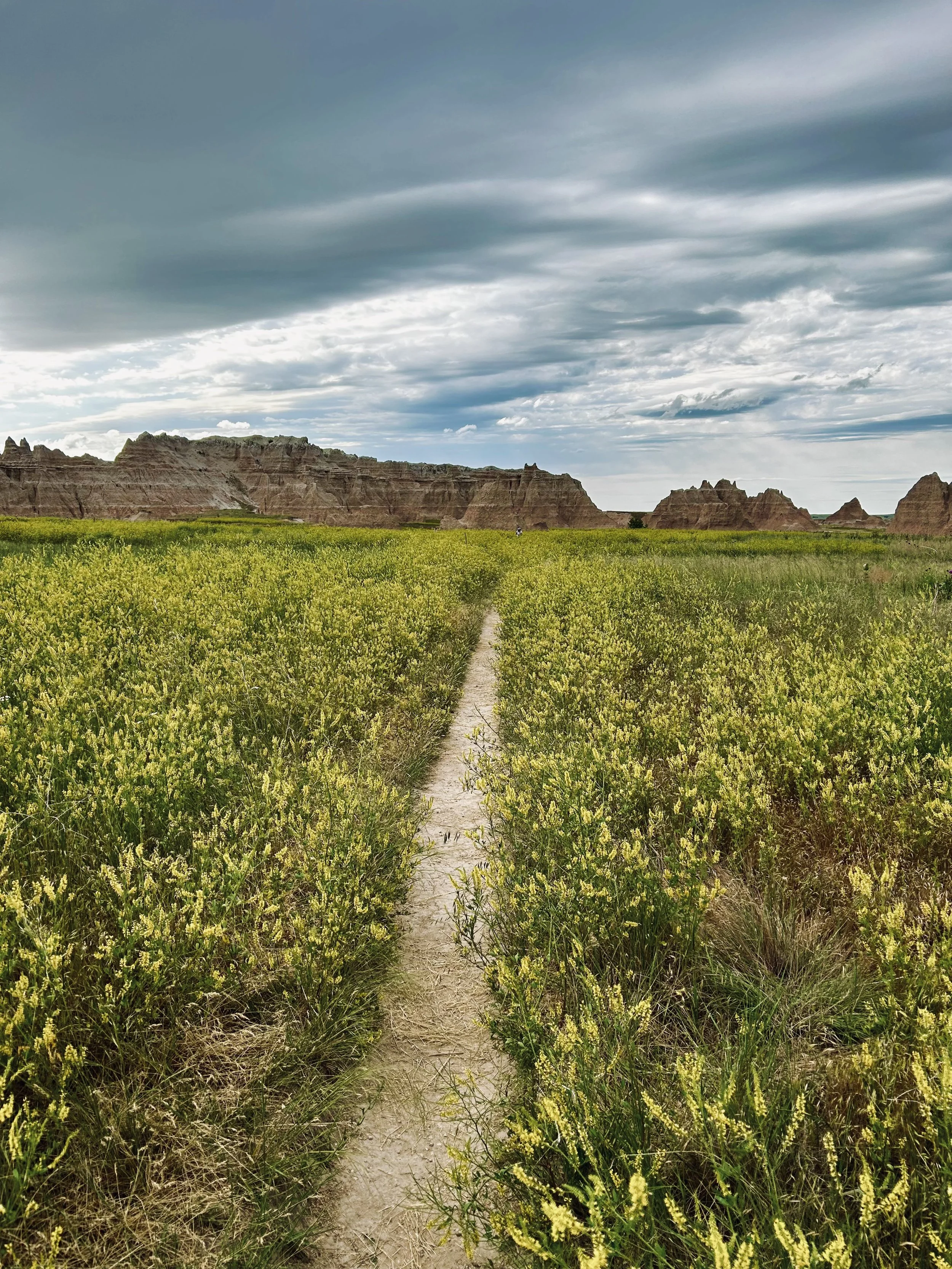 A dirt trail running through a field of yellow and green wildflowers with layered eroded rock formations and a cloudy sky in the background.