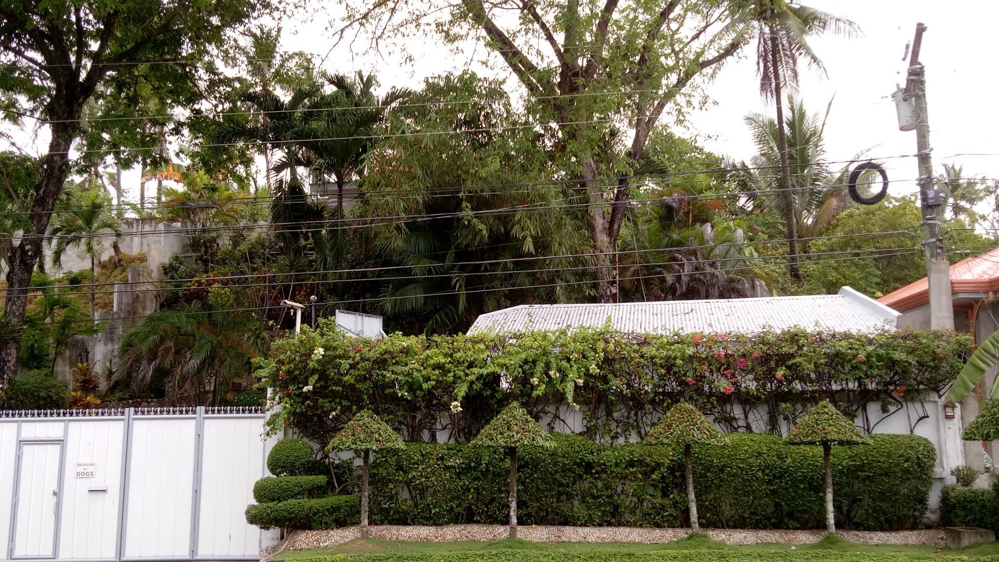 Entrance to property with white gate and bushes