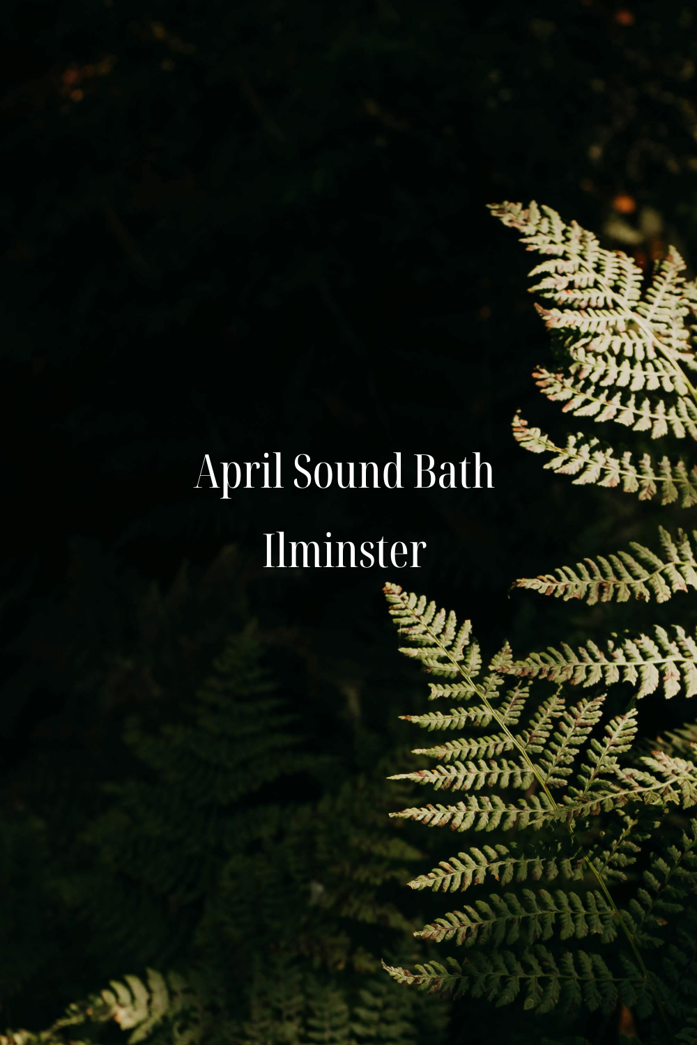 Ilminster Sound Bath WB (1).png