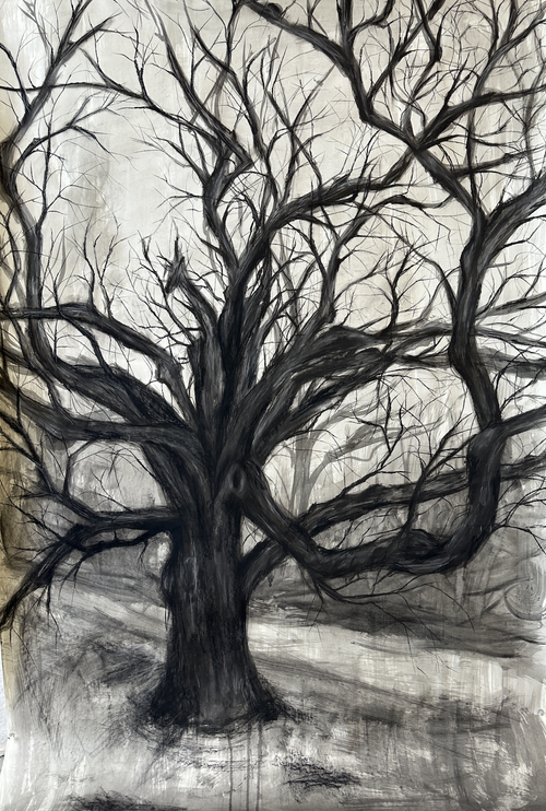 A black and white drawing of a large, leafless tree with sprawling branches against a light background.