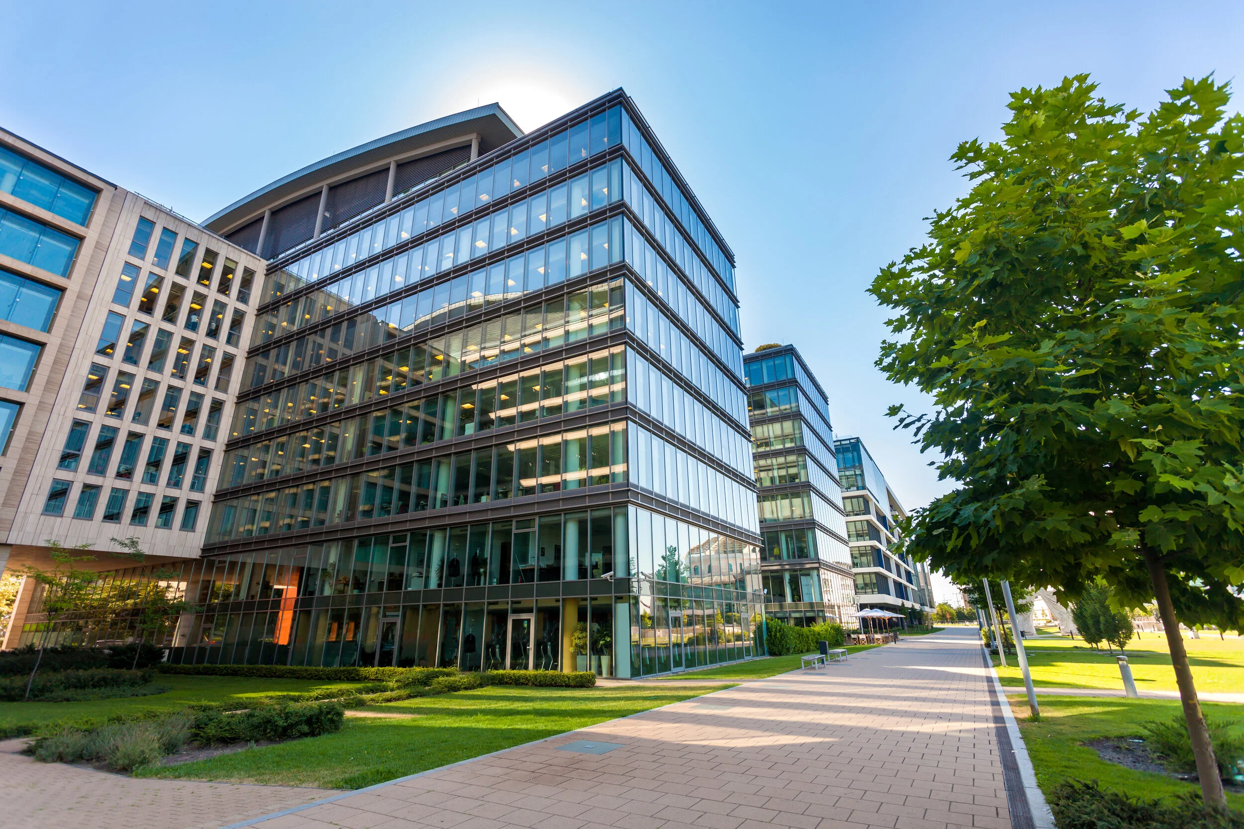 Modern glass office buildings along a paved sidewalk lined with green trees and grass on a sunny day.