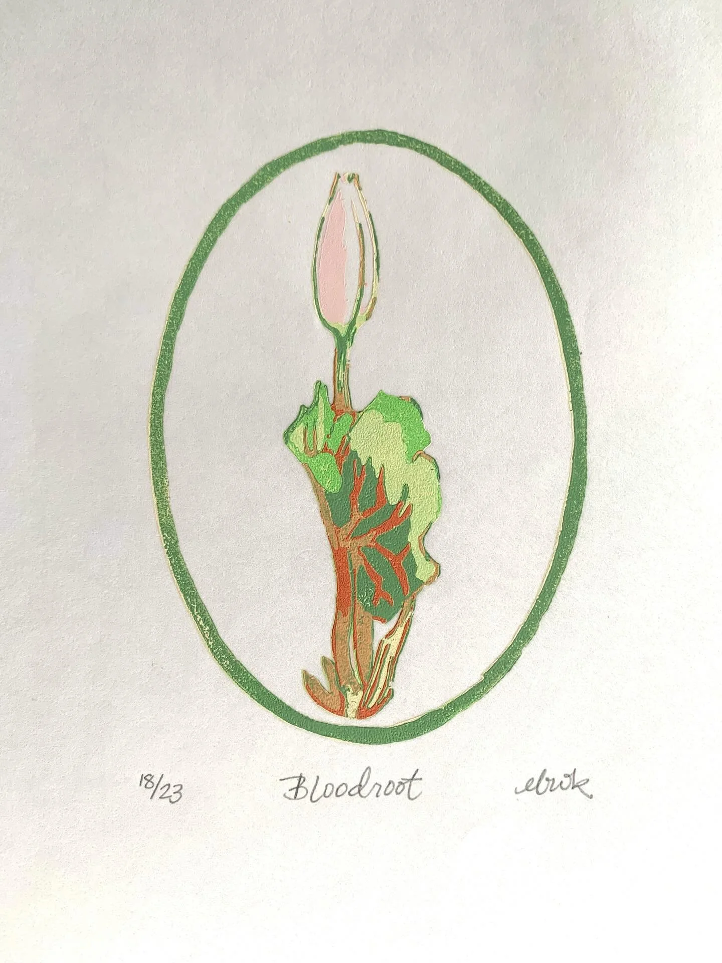 #bloodroot #localart #woodcutprint #wildflower #minneapolisartist