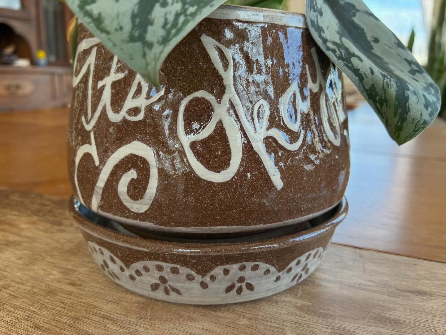 It&rsquo;s okay to grow. Albino squirrel pot with plant. 
emilykrikavaprintsandceramics.com

#minneapolismade
#mnmade
#sgraffitopottery 
#albinosquirrel