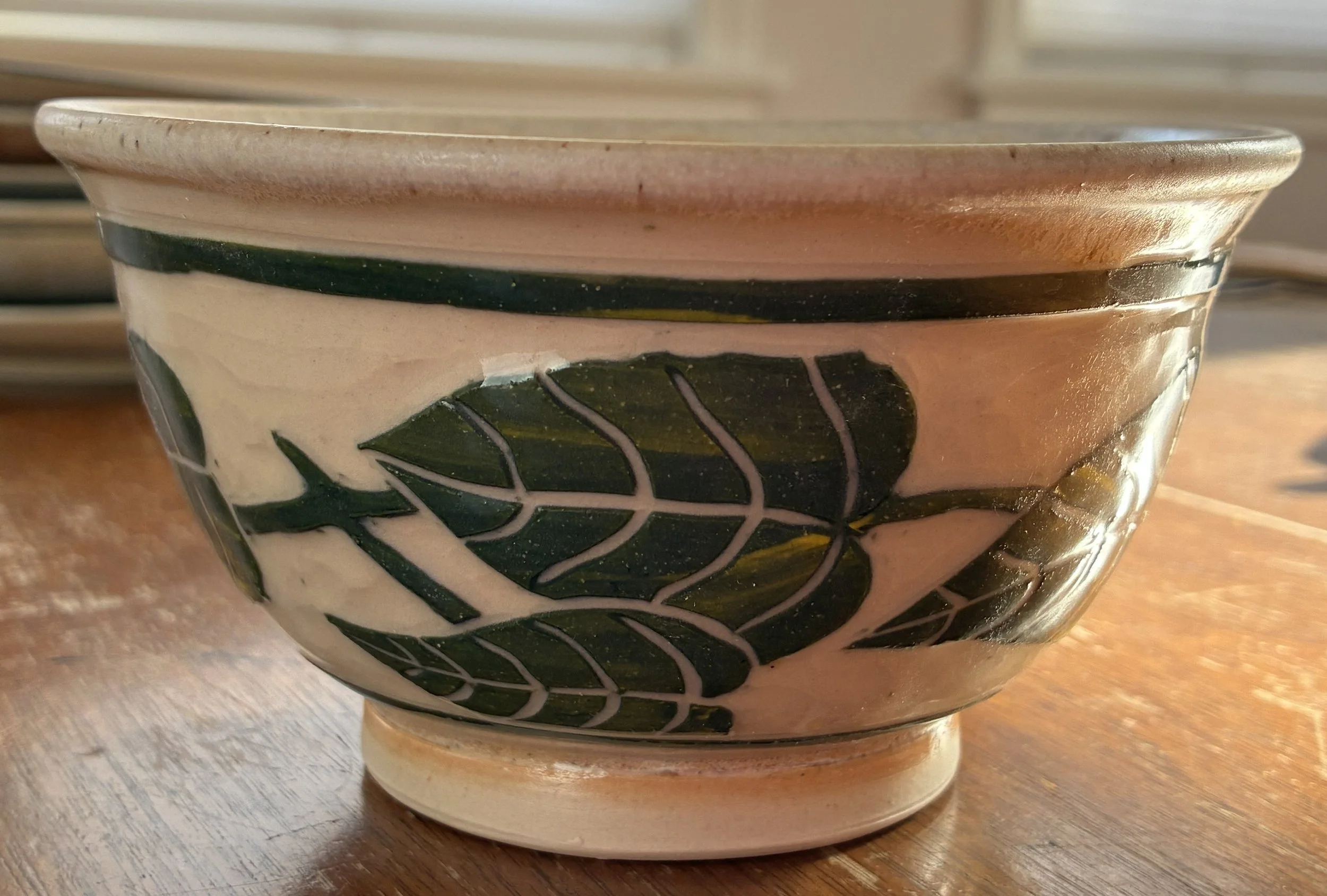 Pothos Soup Bowl
