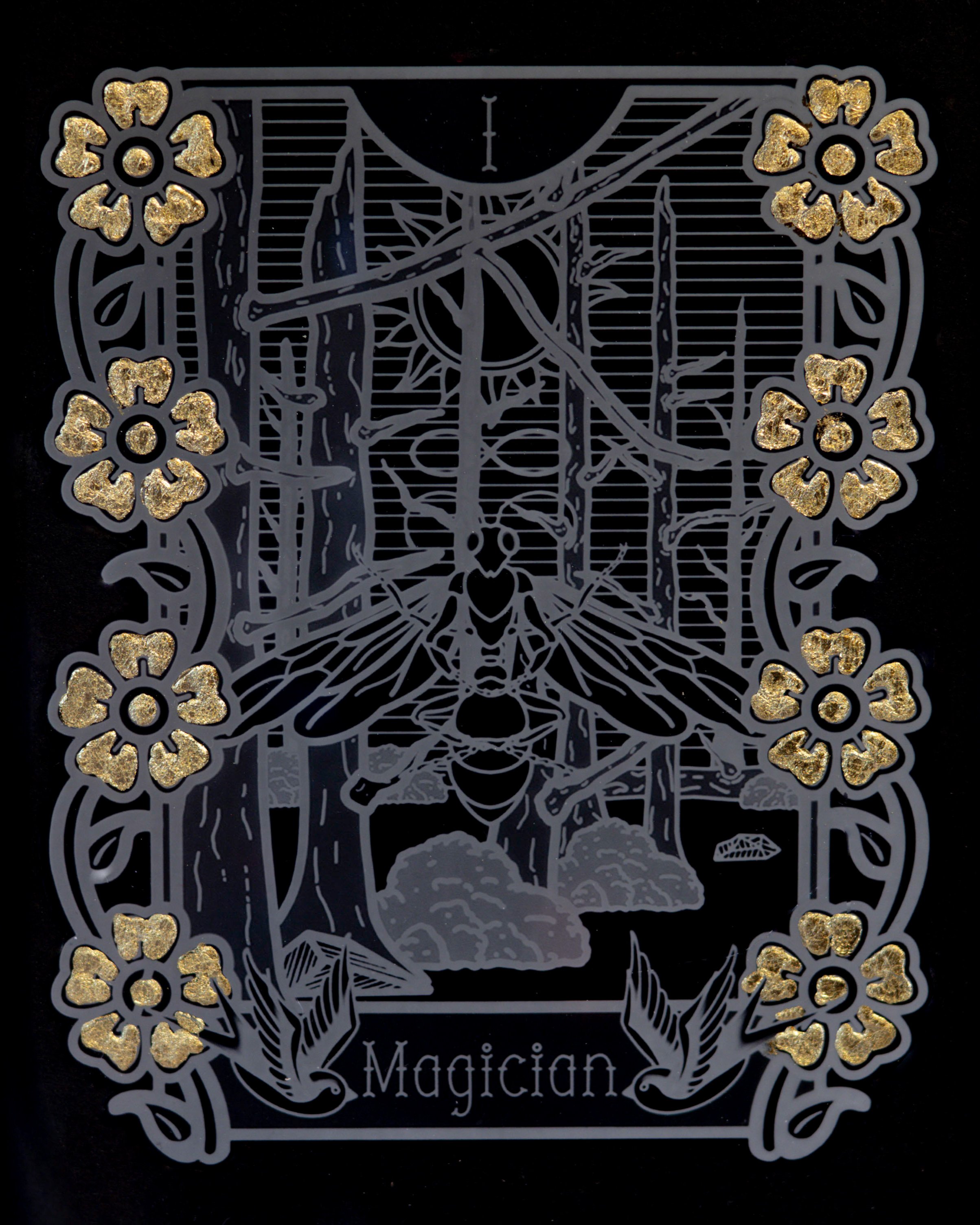 Magician: Black Carpenter Ant (Camponotus vicinus), 2025