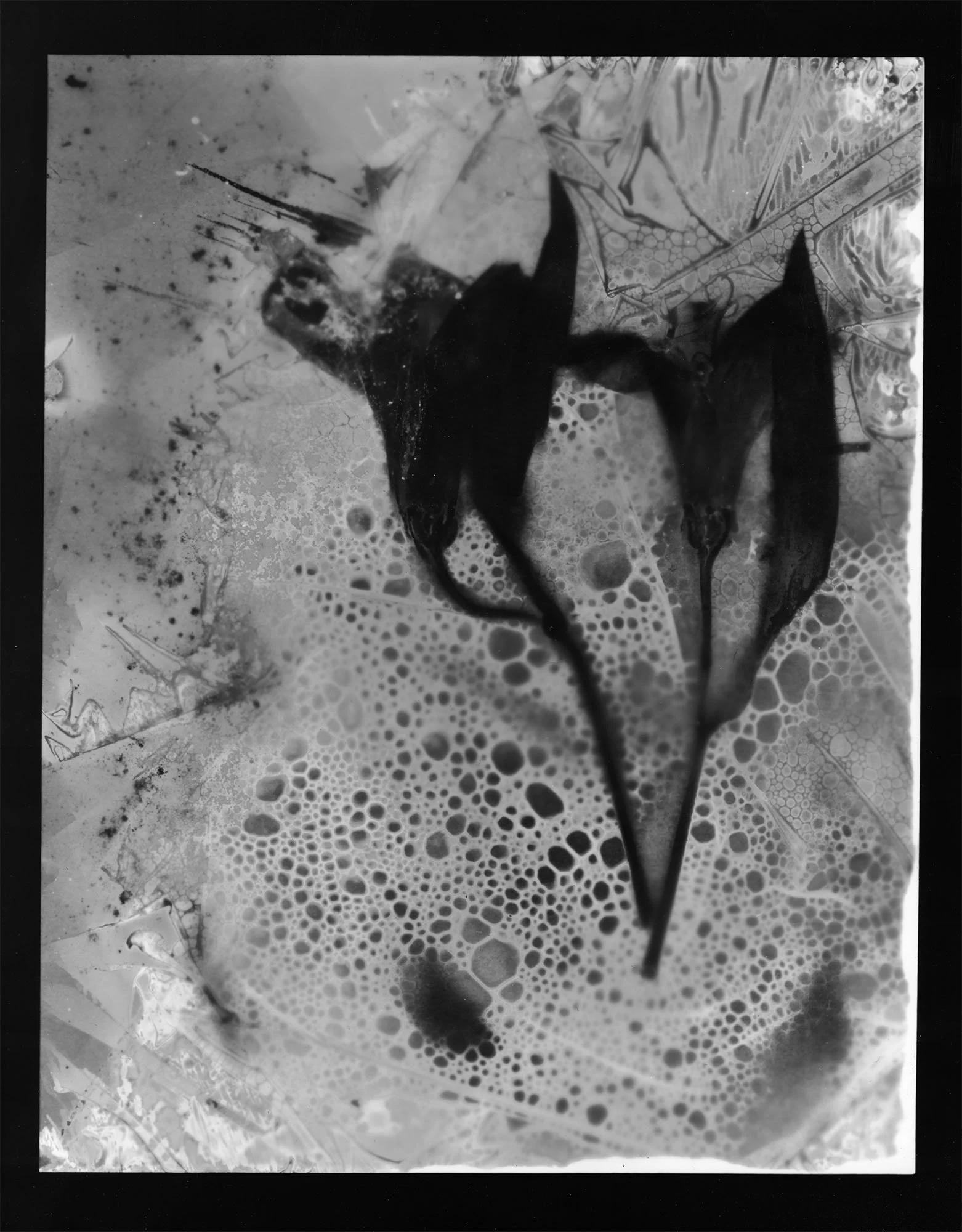 Residual Echo 02: Beyond the Veil; 2025