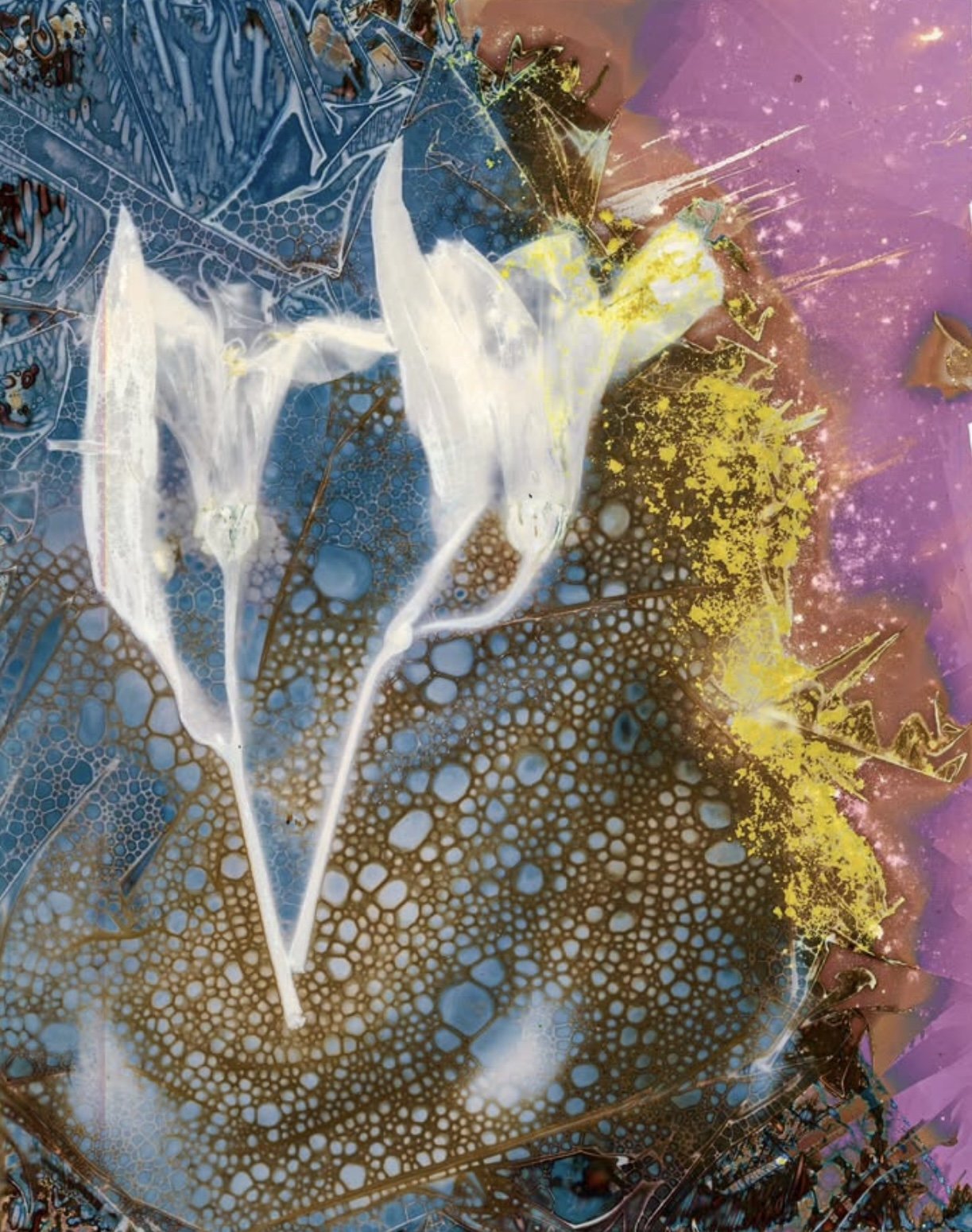 Beyond the Veil; 2025.