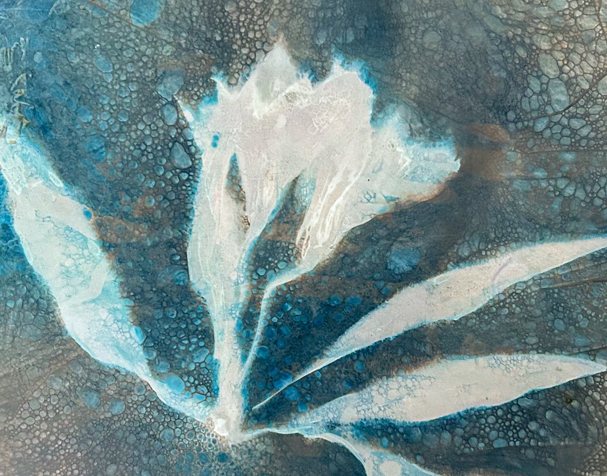 Boreal Echoes; 2025