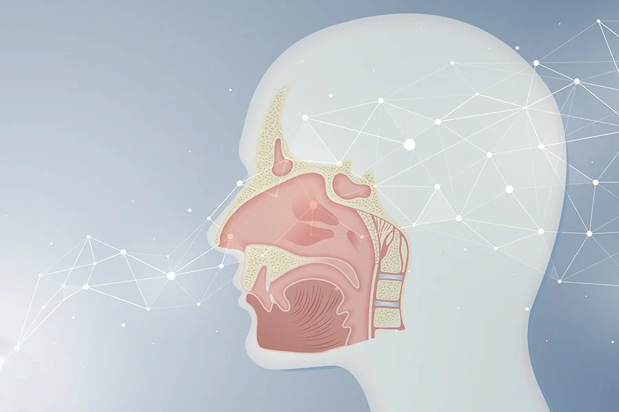 Diagram of human nasal anatomy with a network of connected dots and lines overlaid.