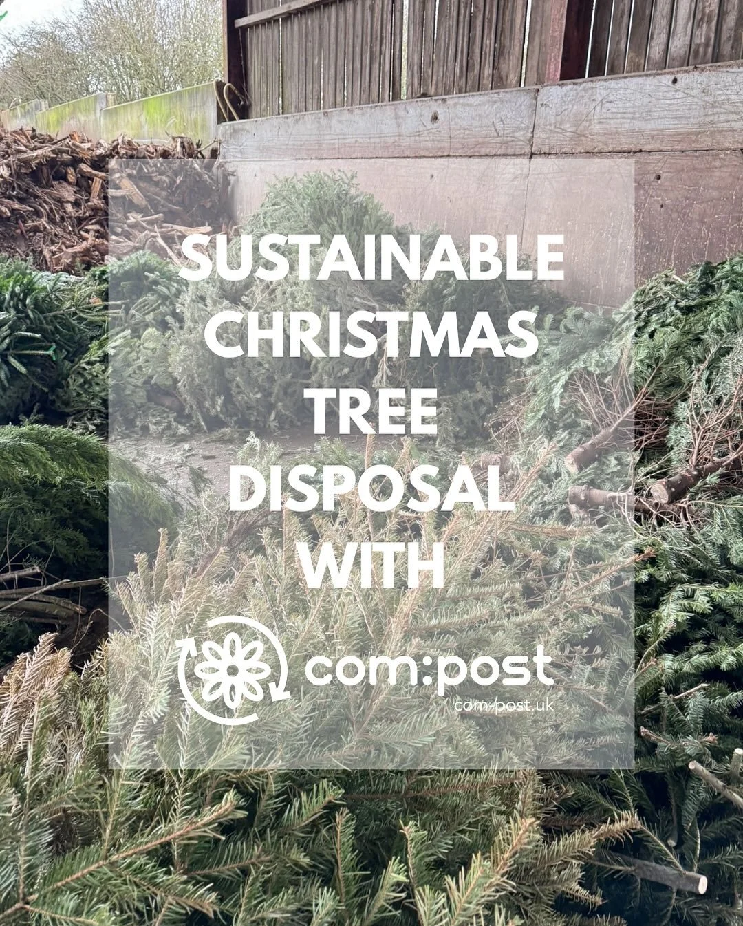 Today we launched our Christmas composting service which allows all our direct collection florists to book in and compost all trees and festive foliage responsibly using our initiative. 
LINK IN BIO or visit www.com-post.uk/christmas for more inform