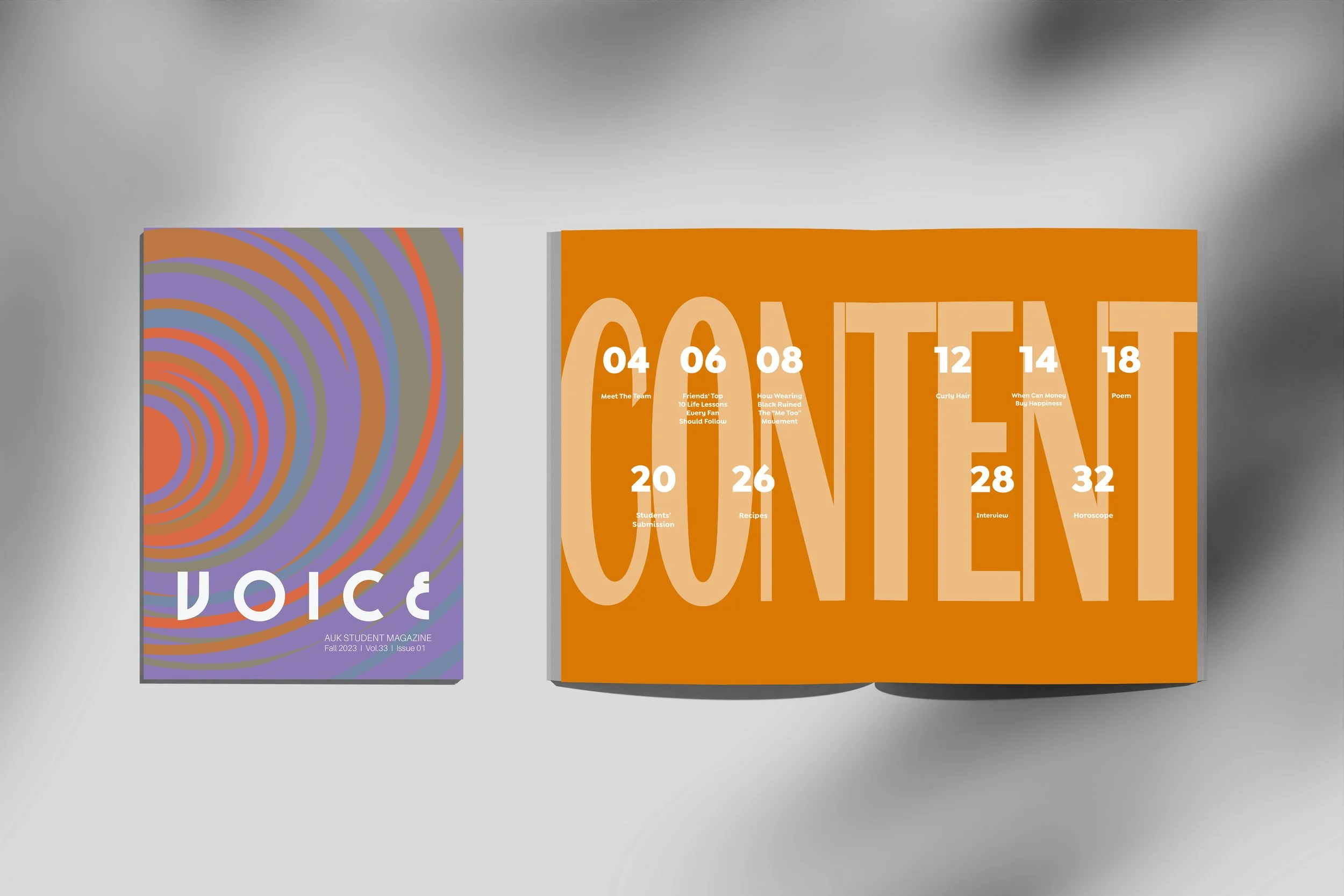 Voice-Mockup-03.jpg