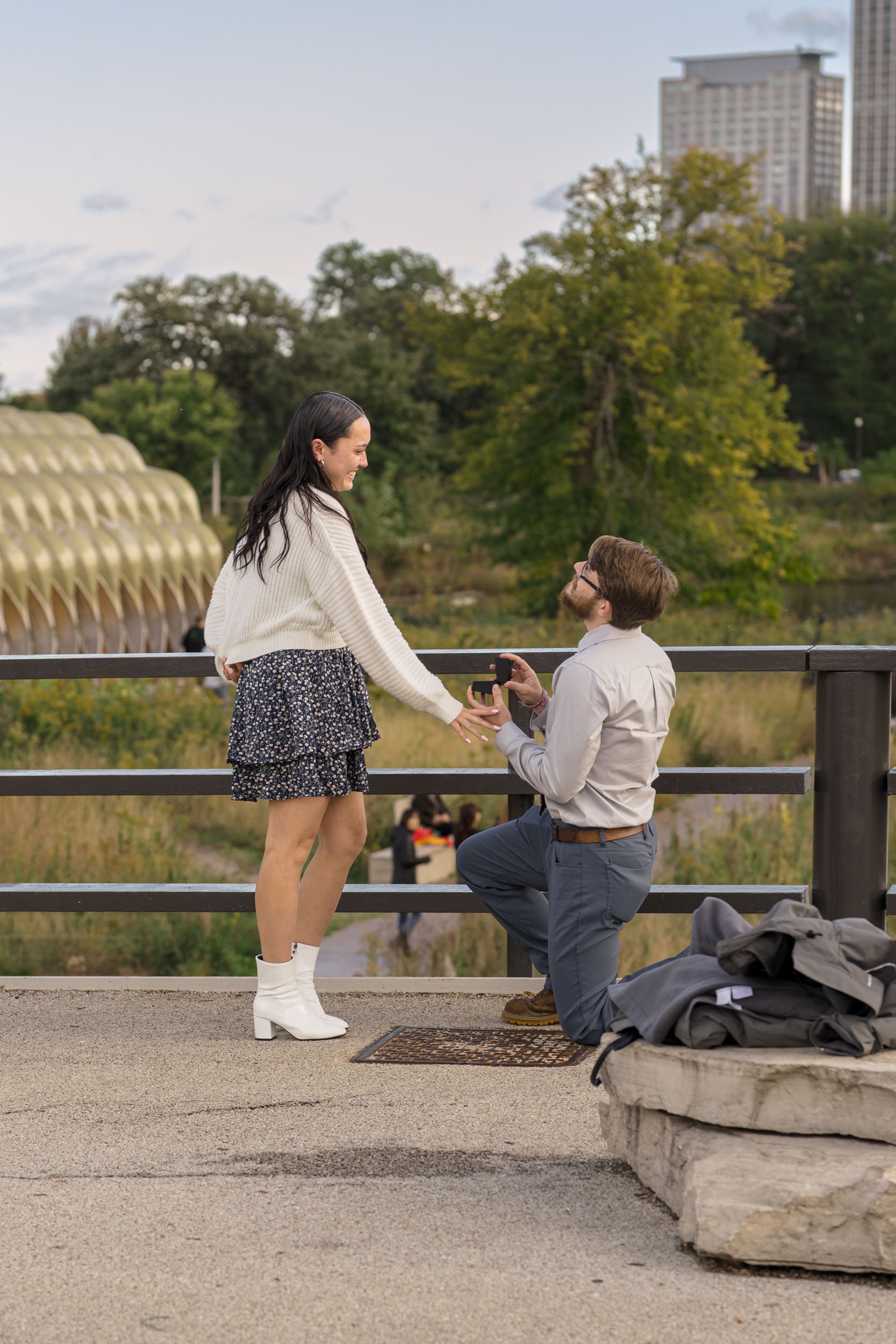 proposal-lincoln-park.jpg