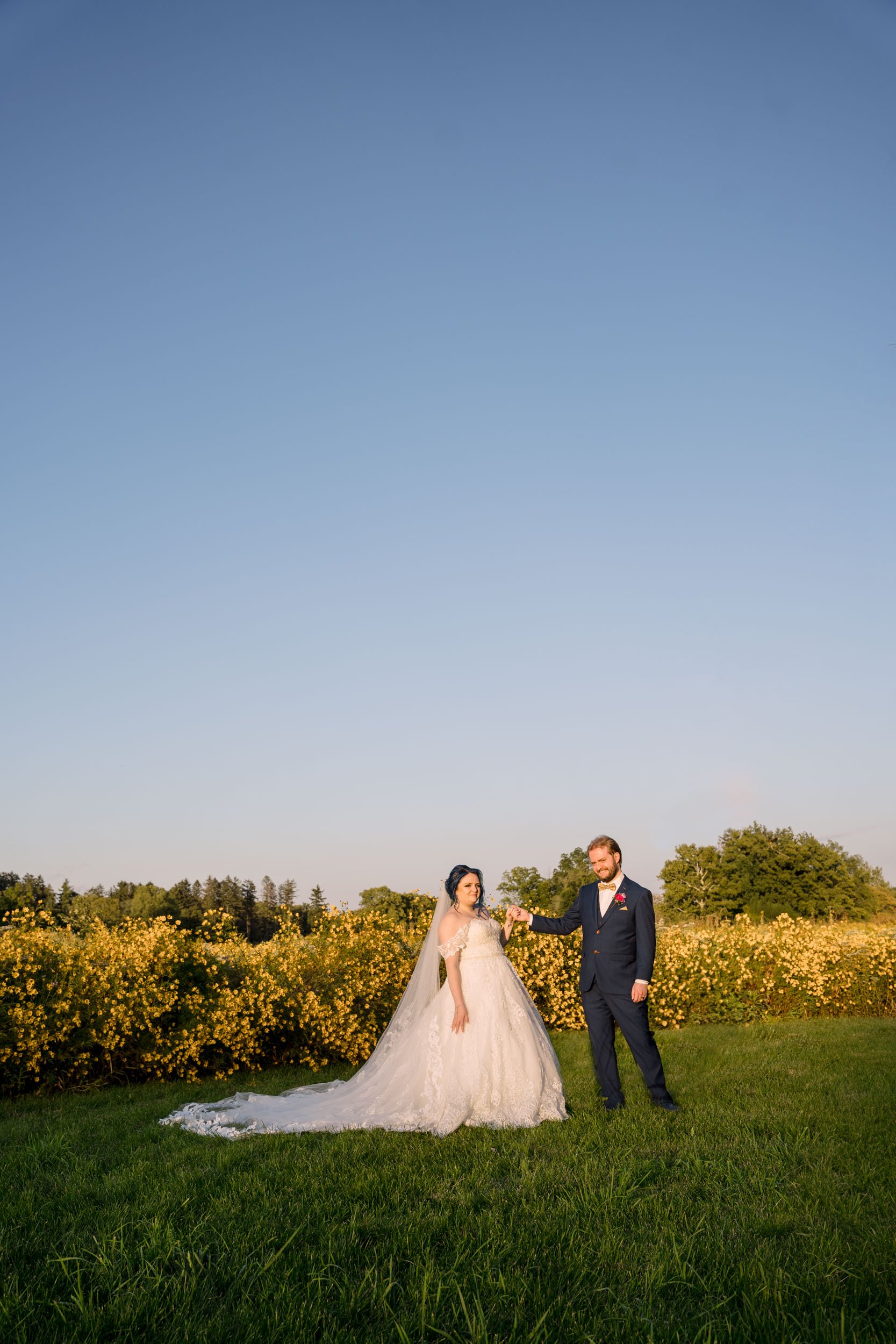 Golden Hour photos in a field of yellow flowers at Morton Arboretum.