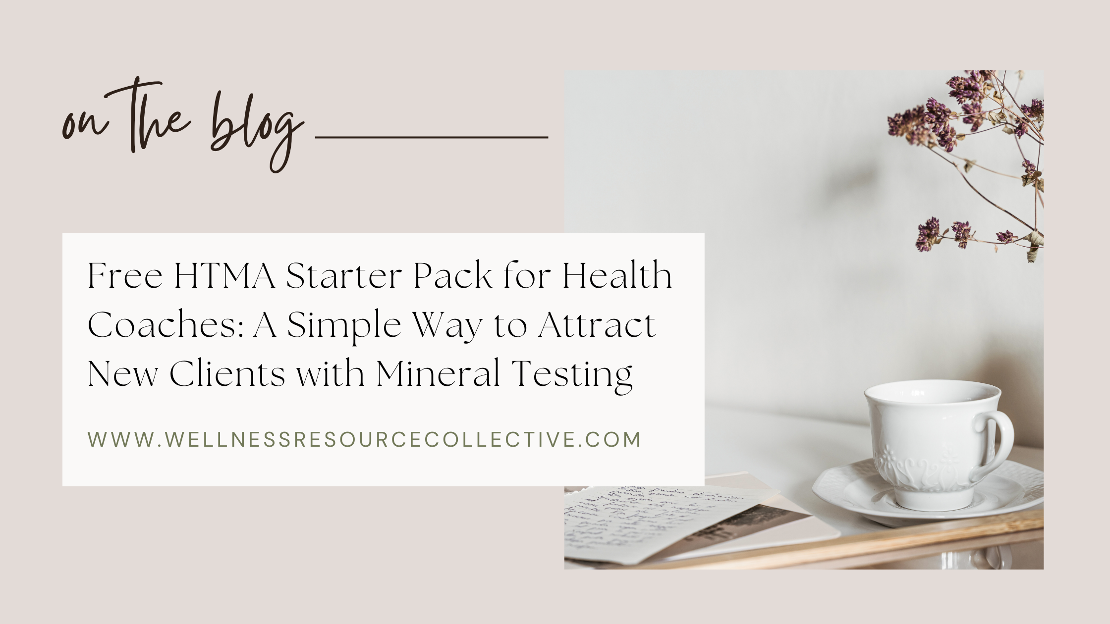Free HTMA Starter Pack for health coaches – marketing tools and handouts for mineral testing practitioners