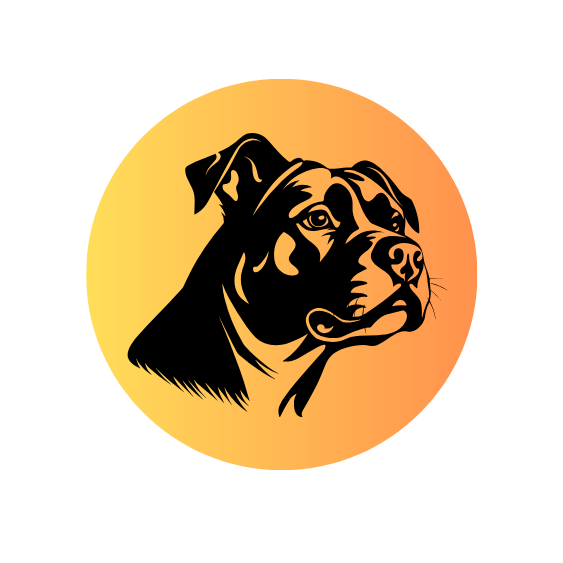 Pack Leaders Dog Training