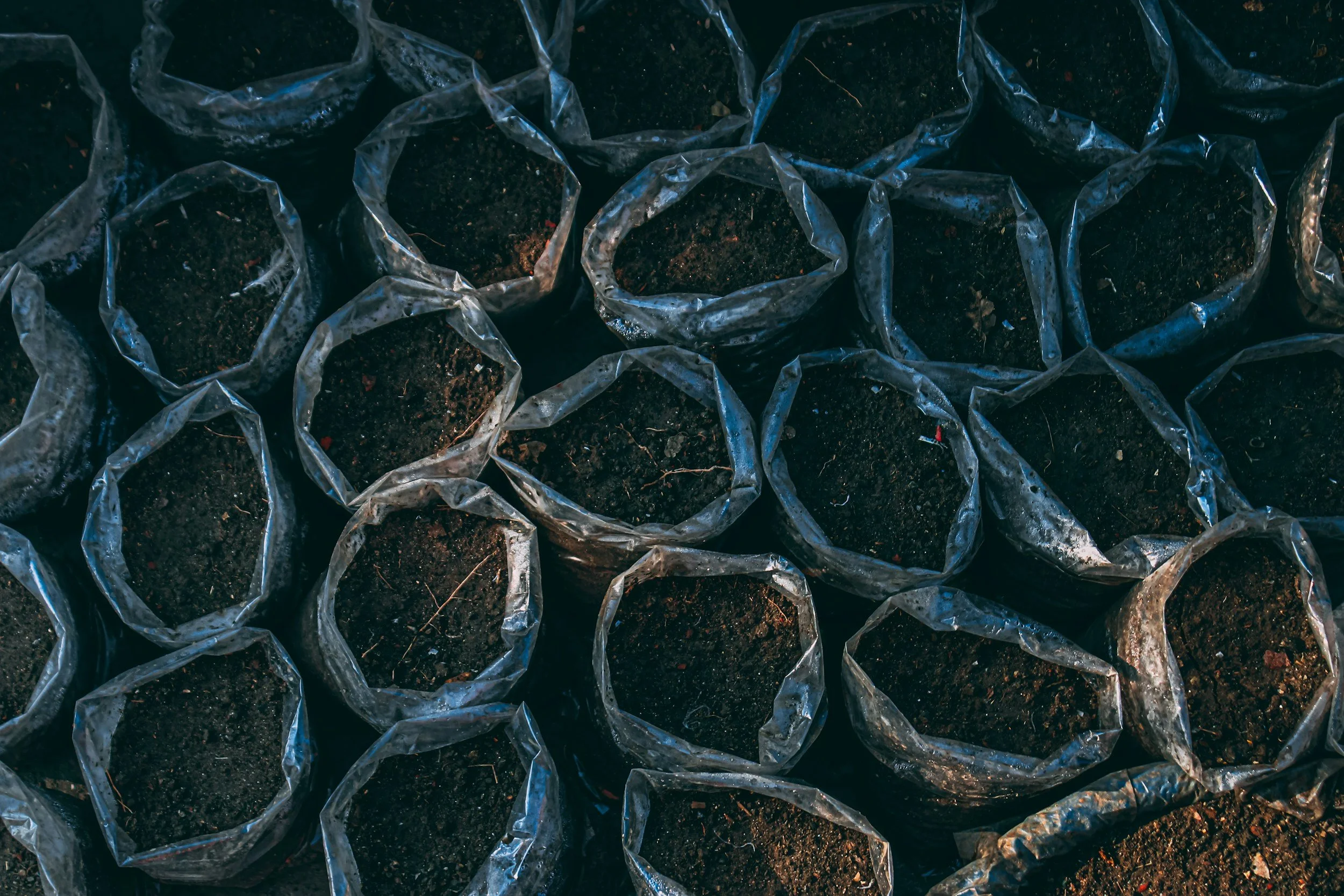 How to Choose the Best Top Soil Delivery in OKC for Your Project