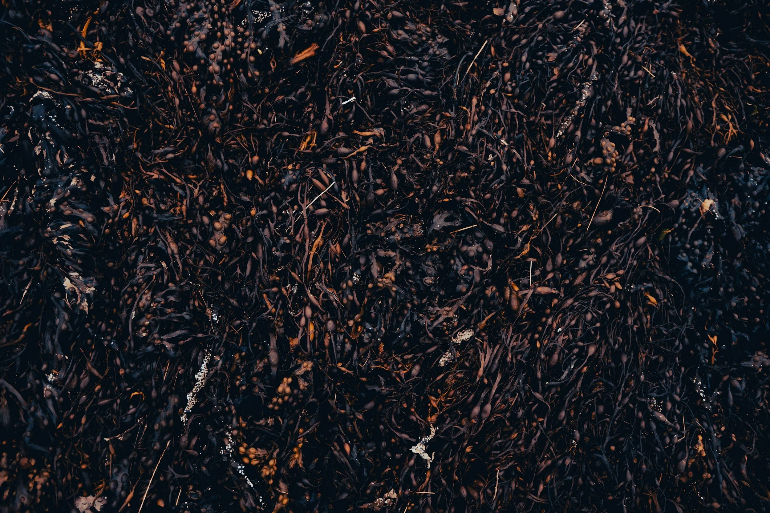 Why Buying Bulk Soil Saves Time and Money