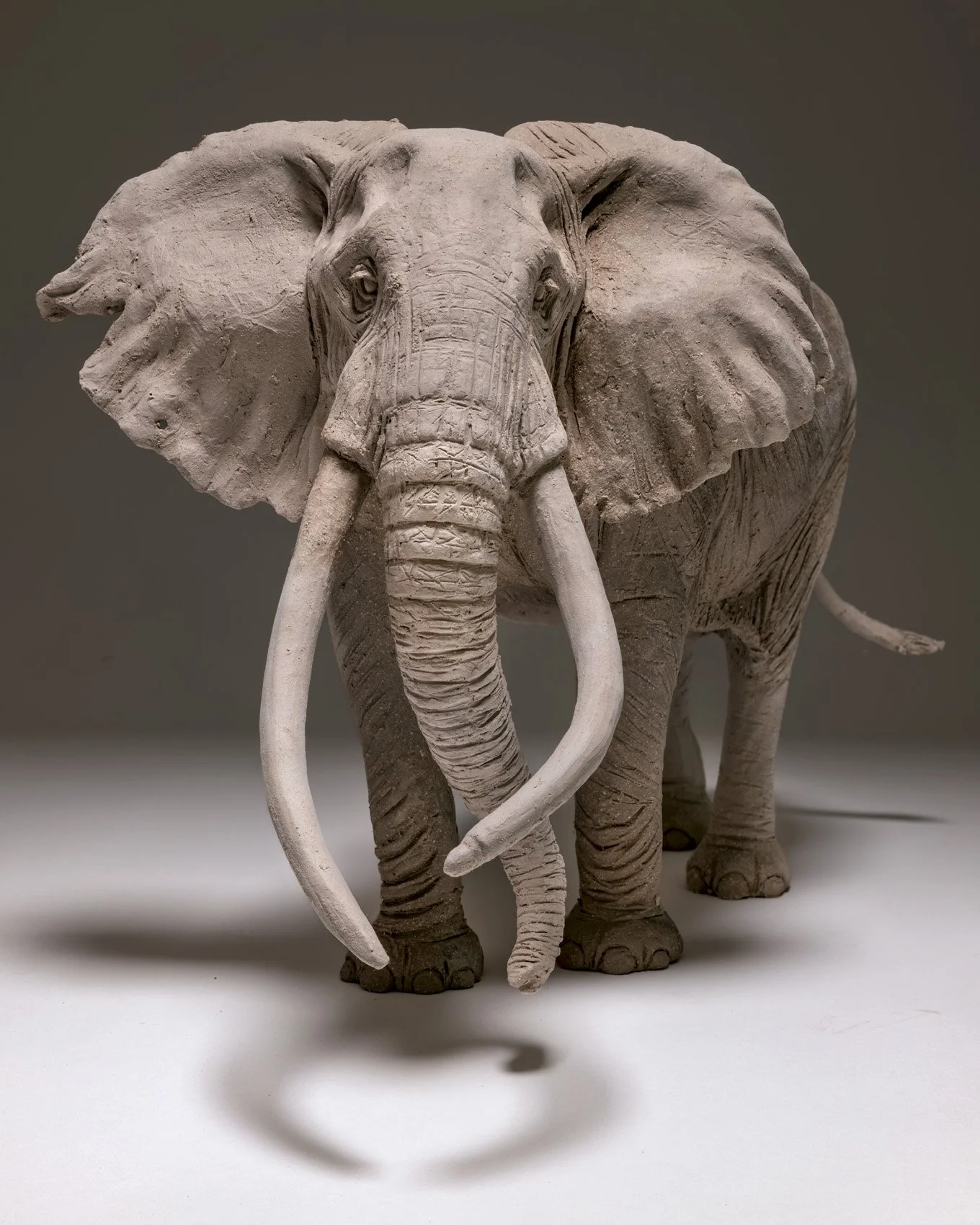 Craig the Gentle Giant.