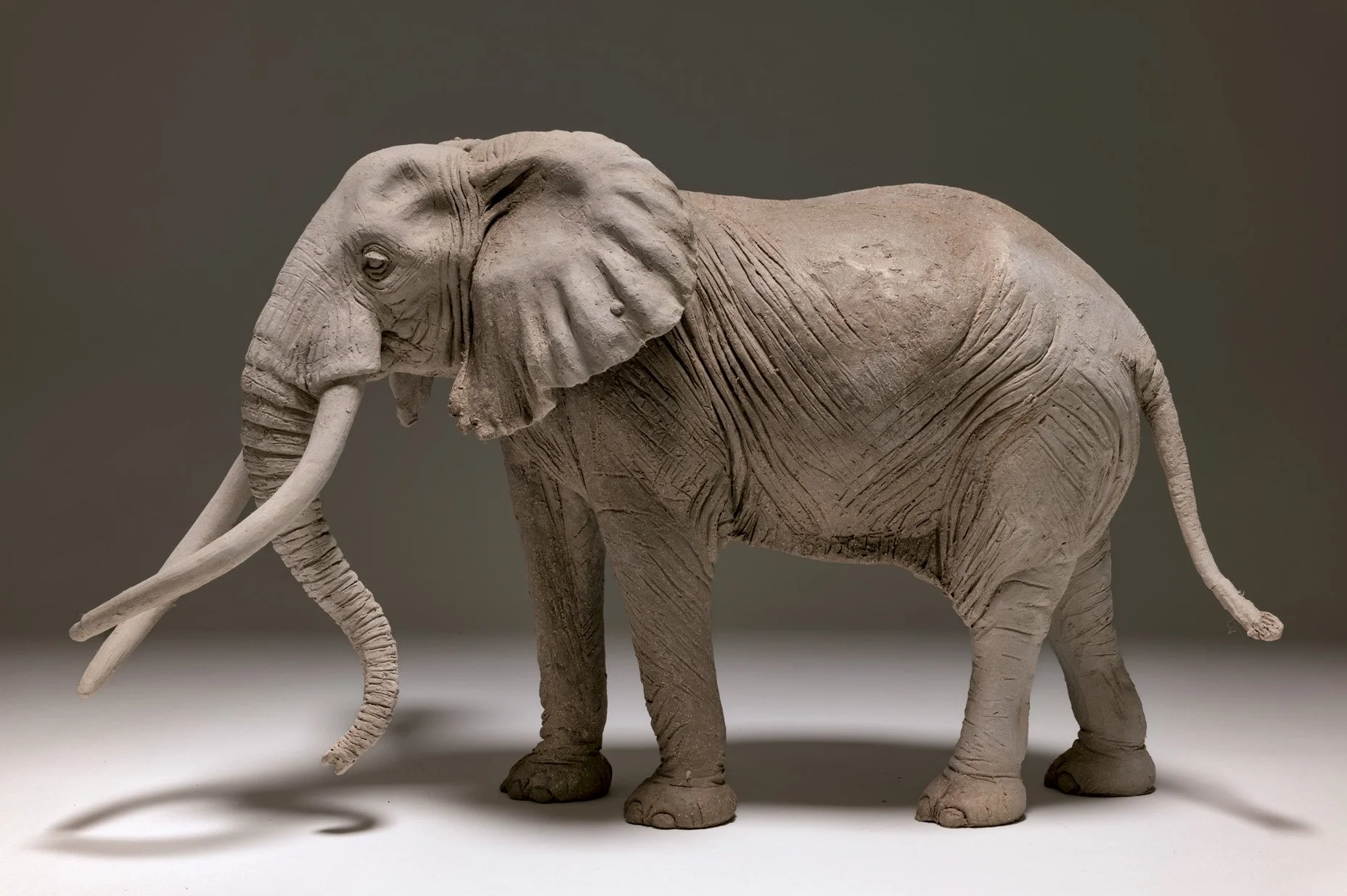 Last of the Super Tuskers.