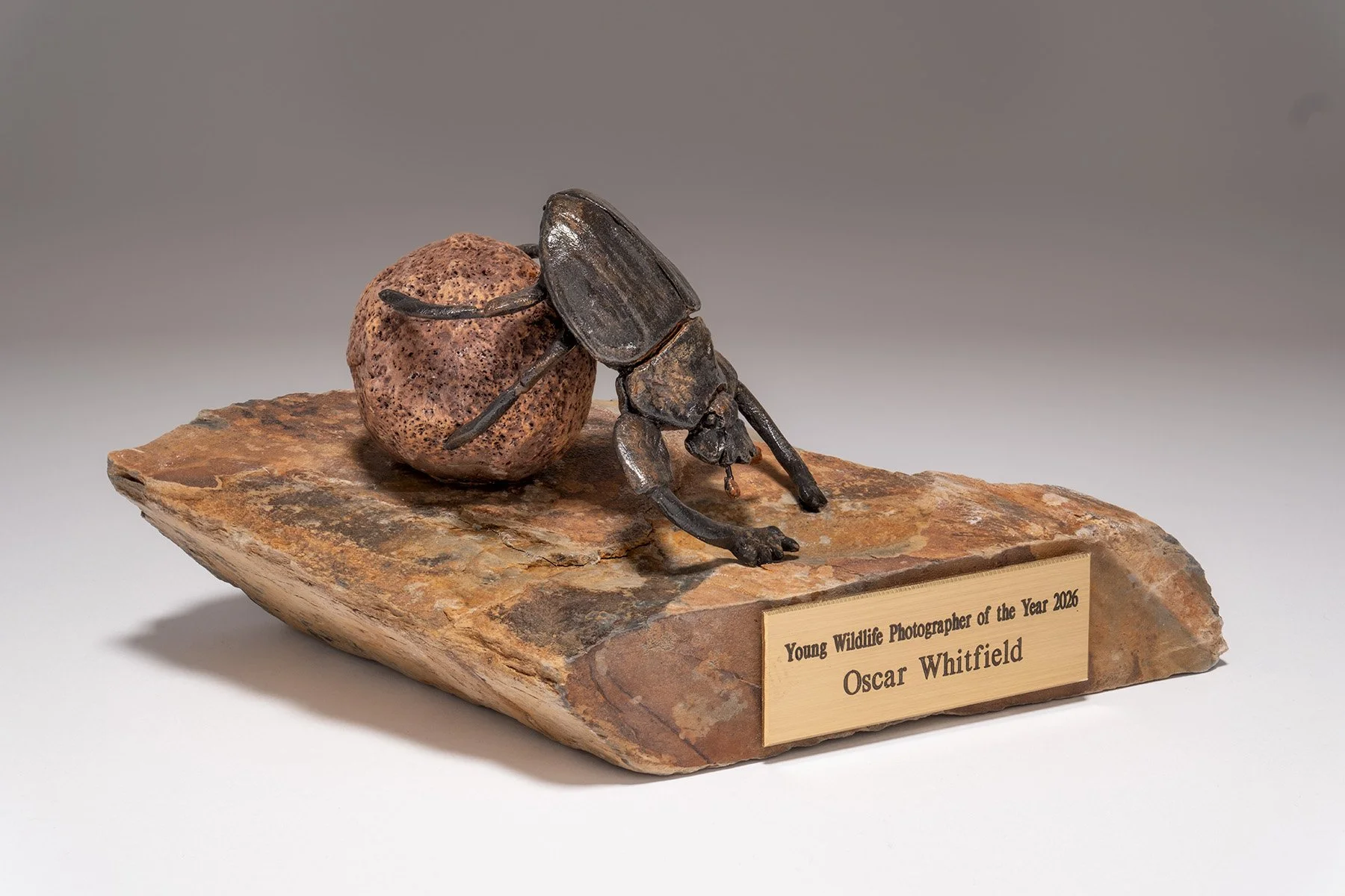 Animal Sculpture Trophy